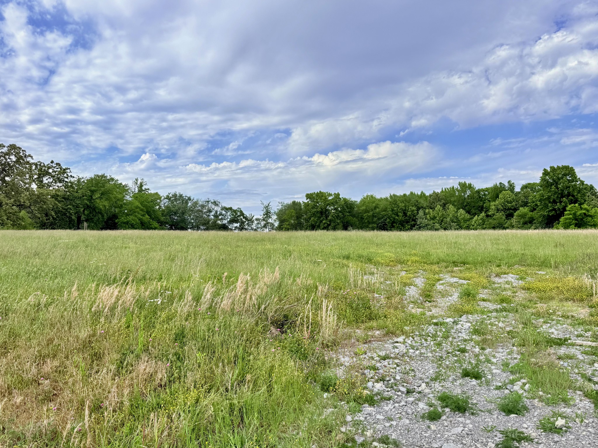 5165 Highway 41 N, Springfield, TN 37172