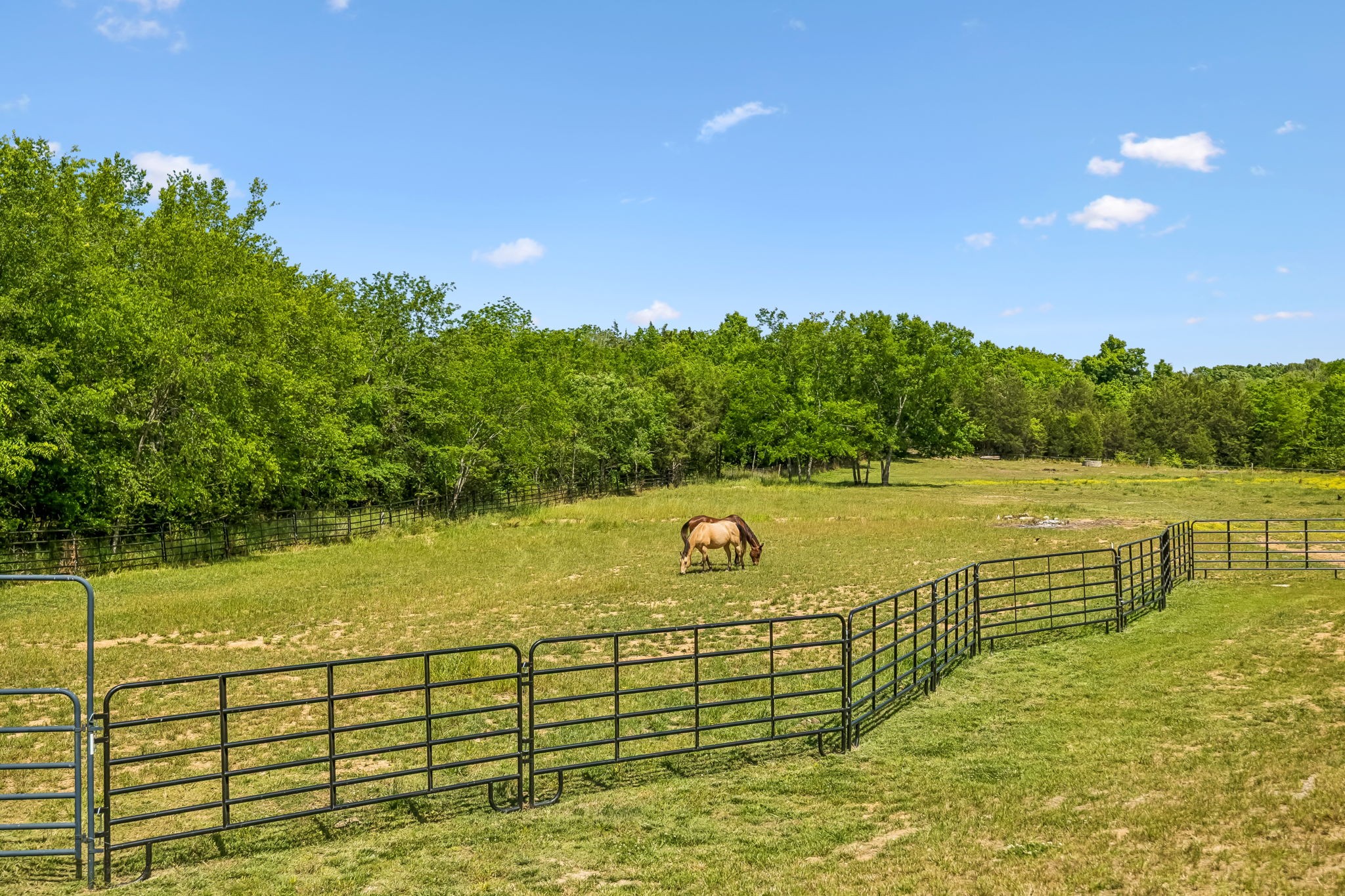 182 Trinity Rd, Franklin, TN 37067
