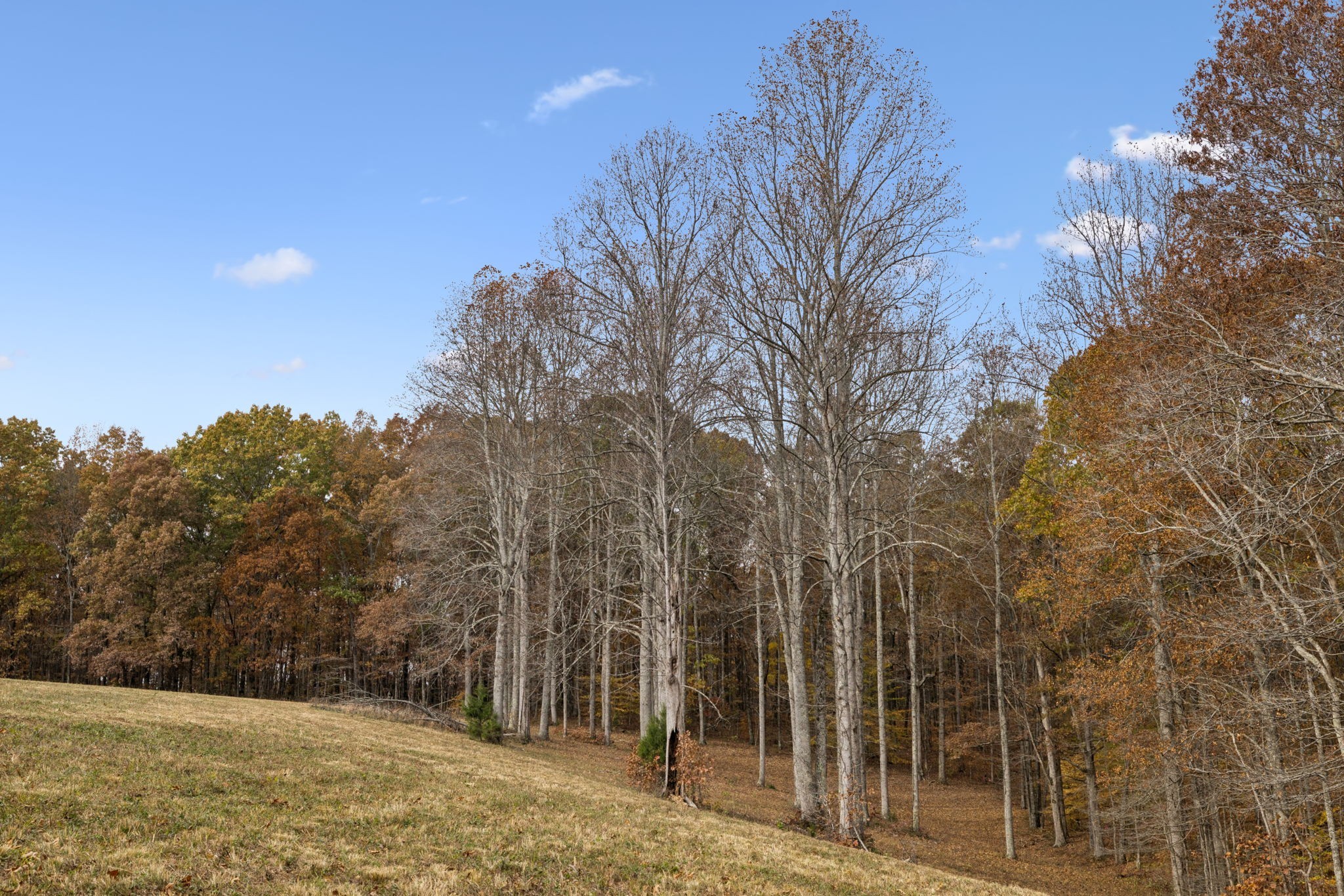 5515 Old Hwy 96, Franklin, TN 37064