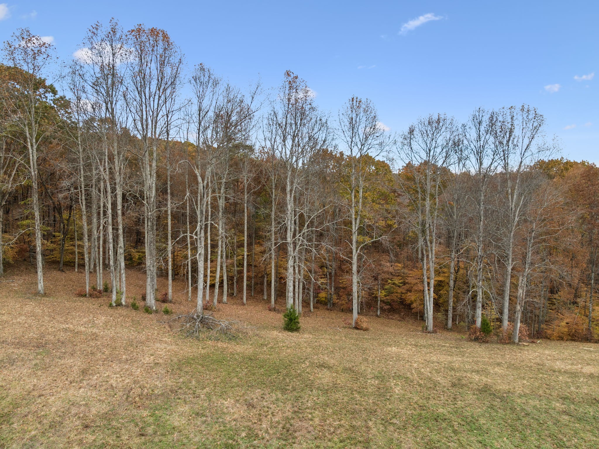 5515 Old Hwy 96, Franklin, TN 37064