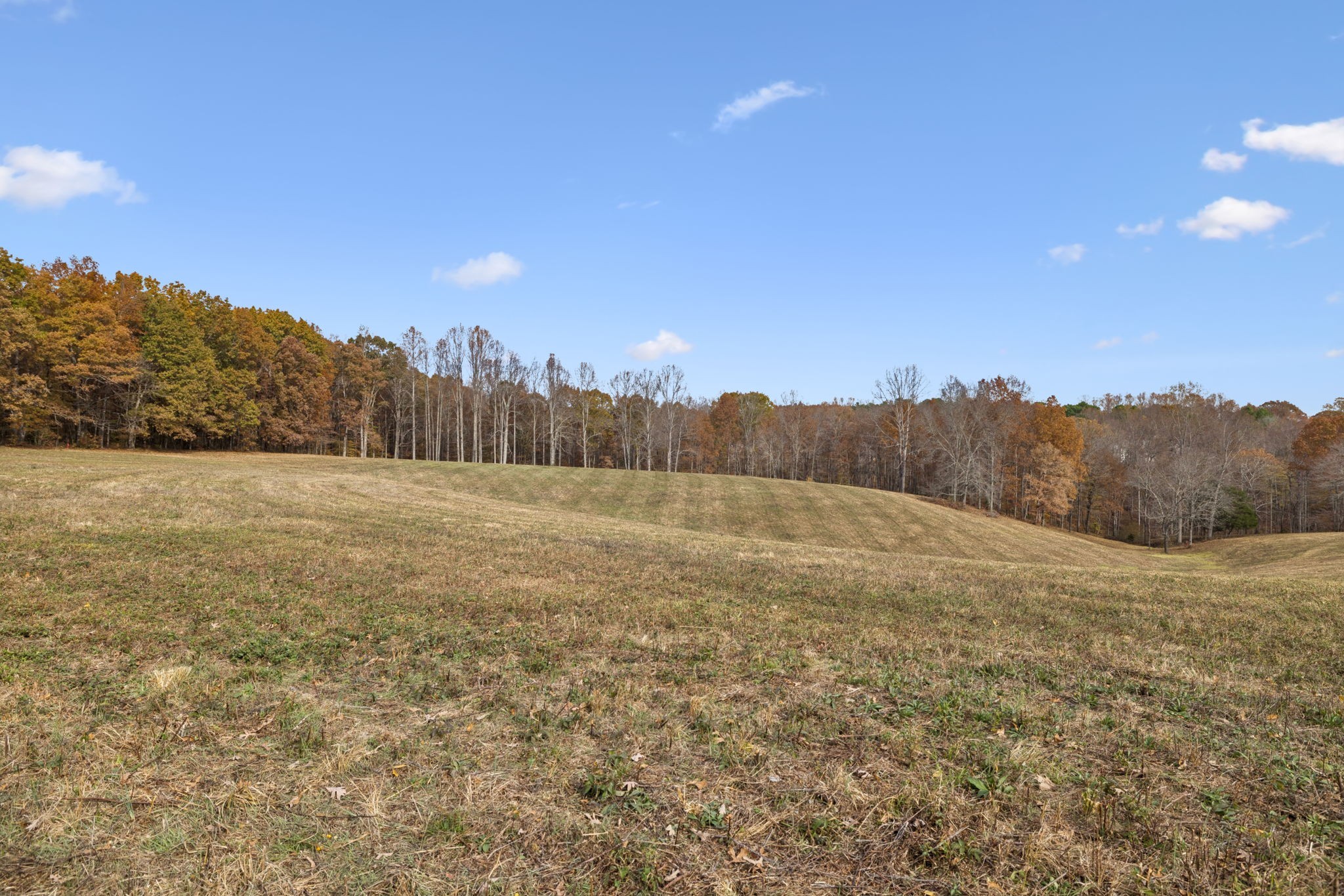 5515 Old Hwy 96, Franklin, TN 37064