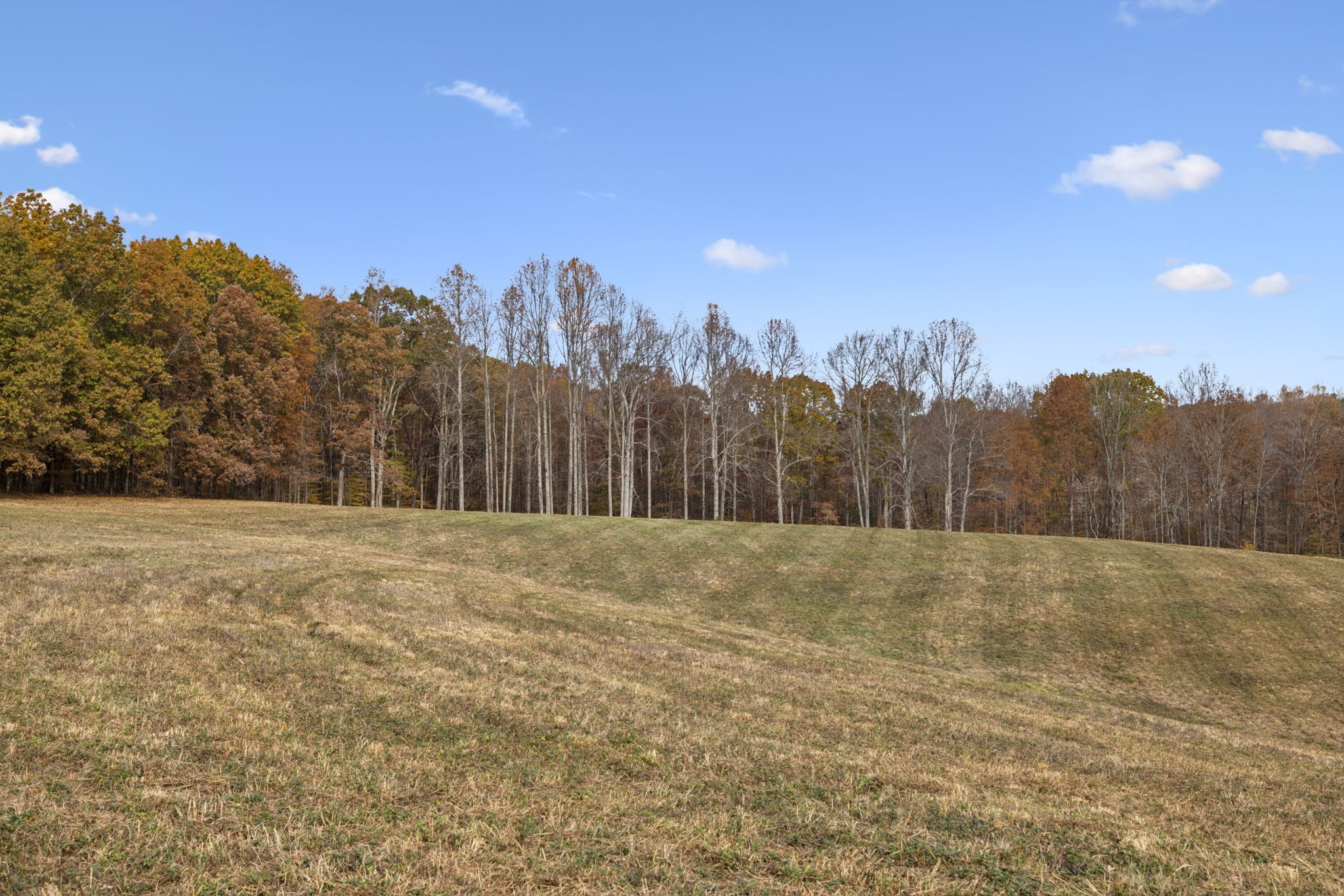 5515 Old Hwy 96, Franklin, TN 37064