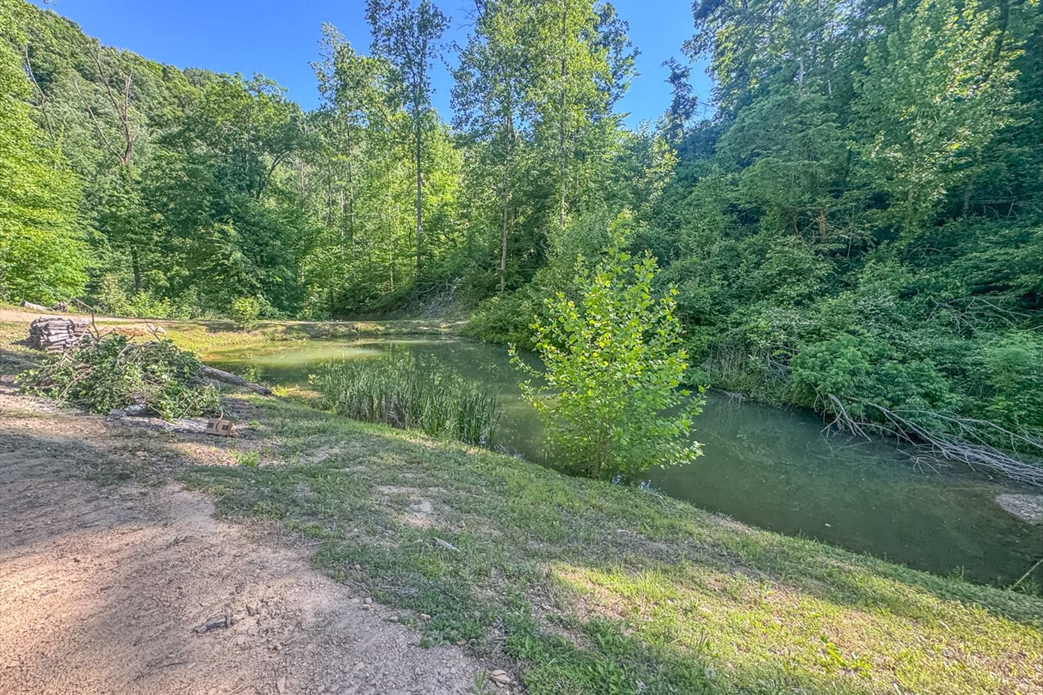 0 Lost Hollow Ln, Ashland City, TN 37015
