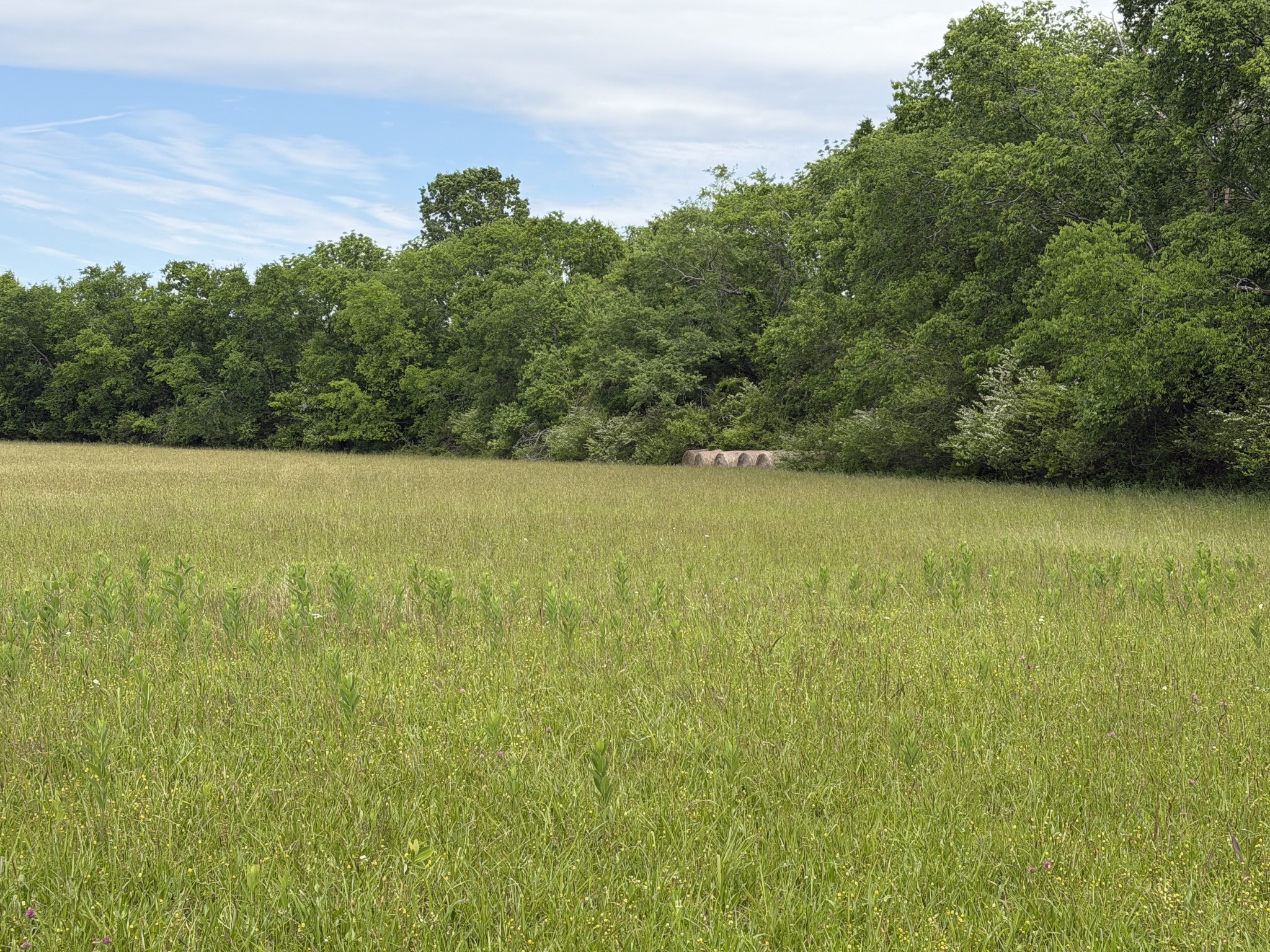 0 Madison Creek Rd, Goodlettsville, TN 37072