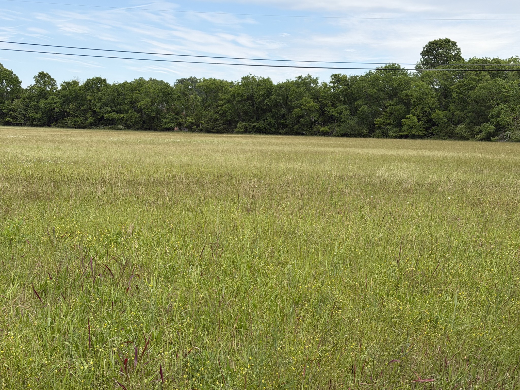 0 Madison Creek Rd, Goodlettsville, TN 37072