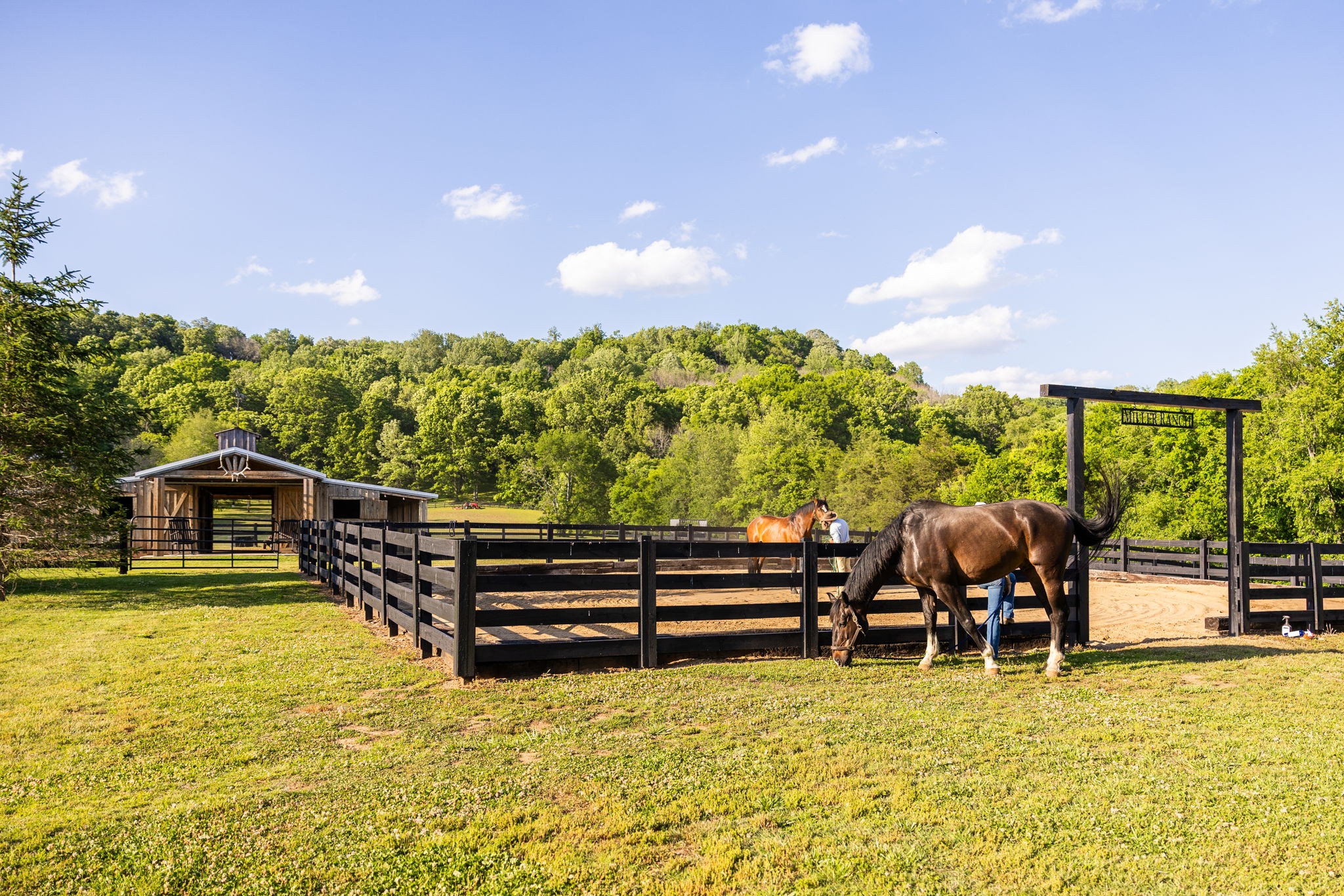 1496 Coleman Rd, Franklin, TN 37064