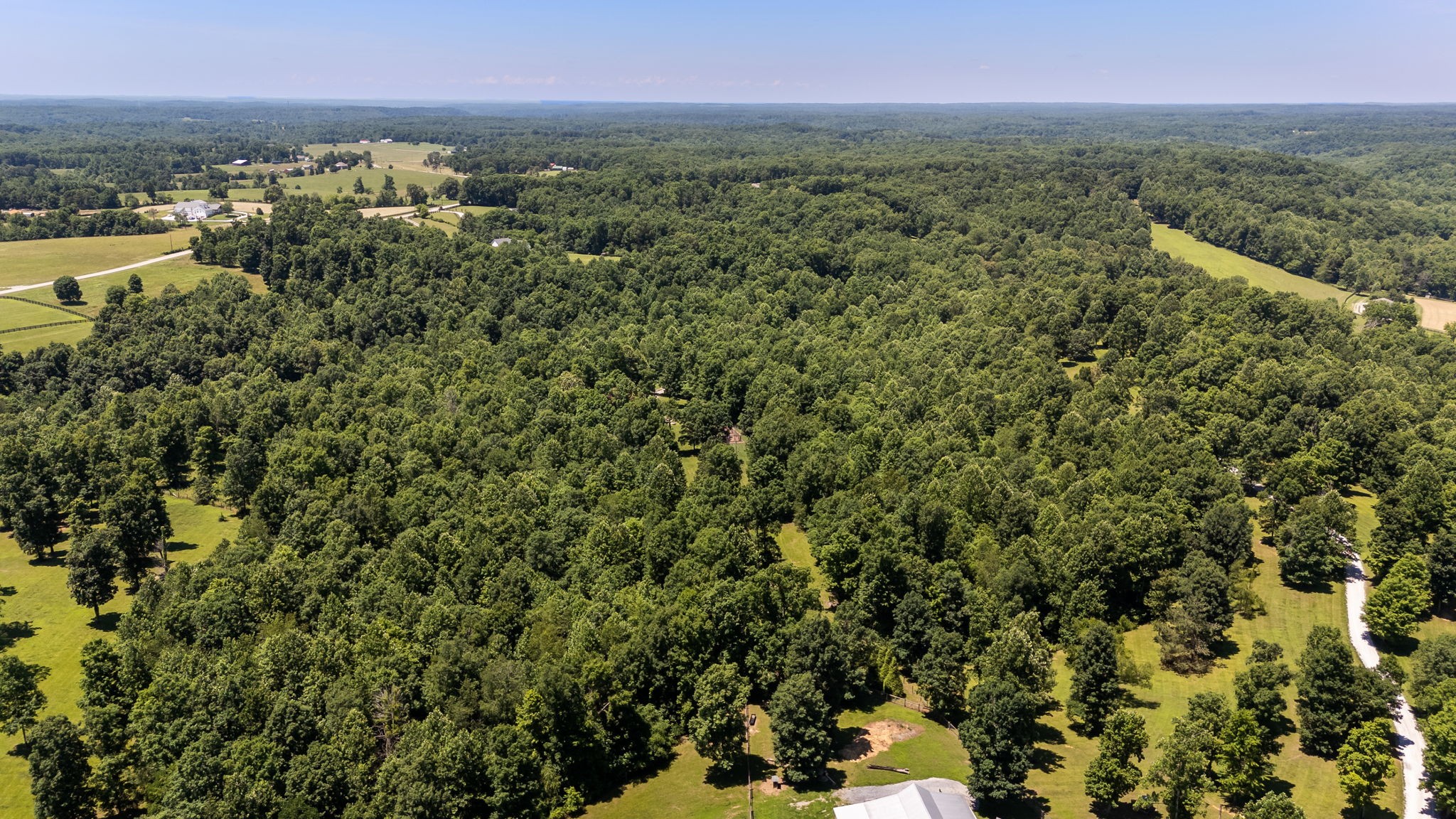 7855 Barnhill Rd, Primm Springs, TN 38476