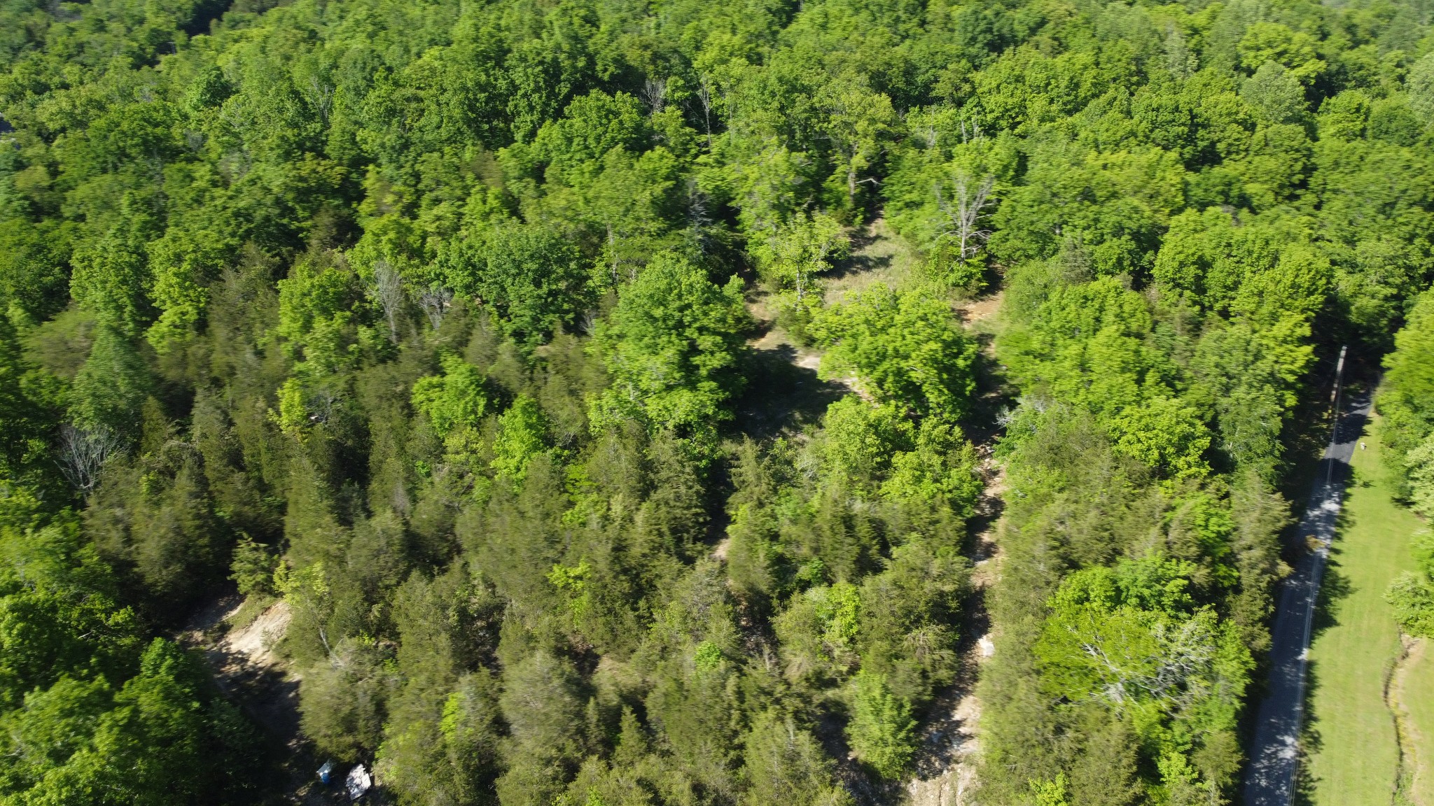 738 Rogues Fork Rd, Bethpage, TN 37022