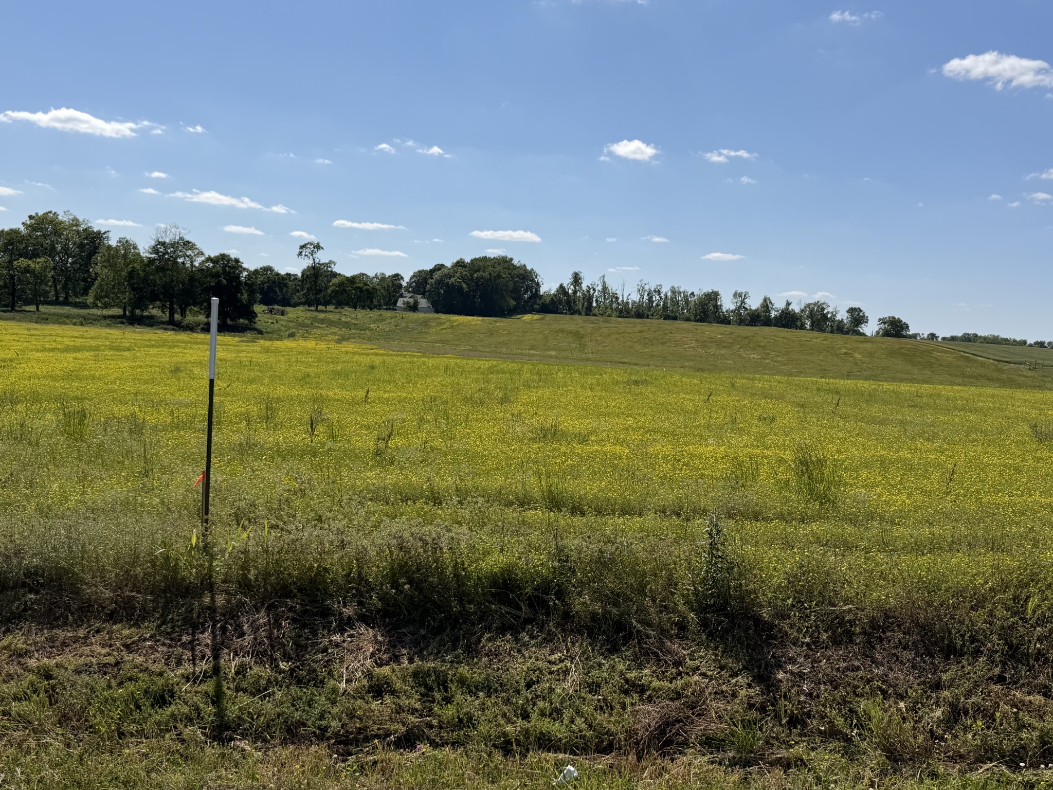 0 Pinson Rd Lot 1, Springfield, TN 37172