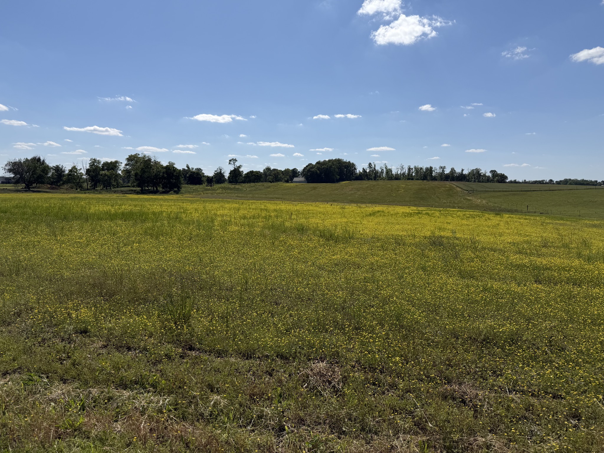 0 Pinson Rd Lot 3, Springfield, TN 37172