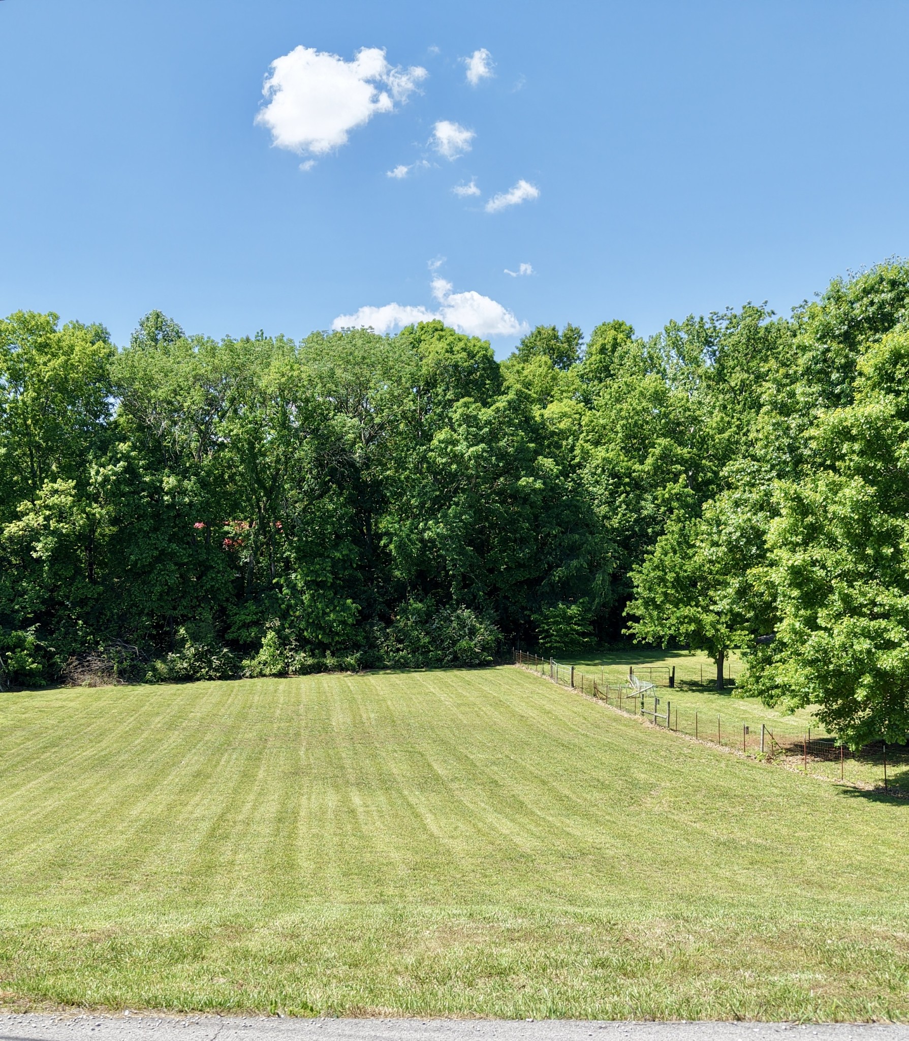 0 Briarwood Dr Lot 13, Charlotte, TN 37036