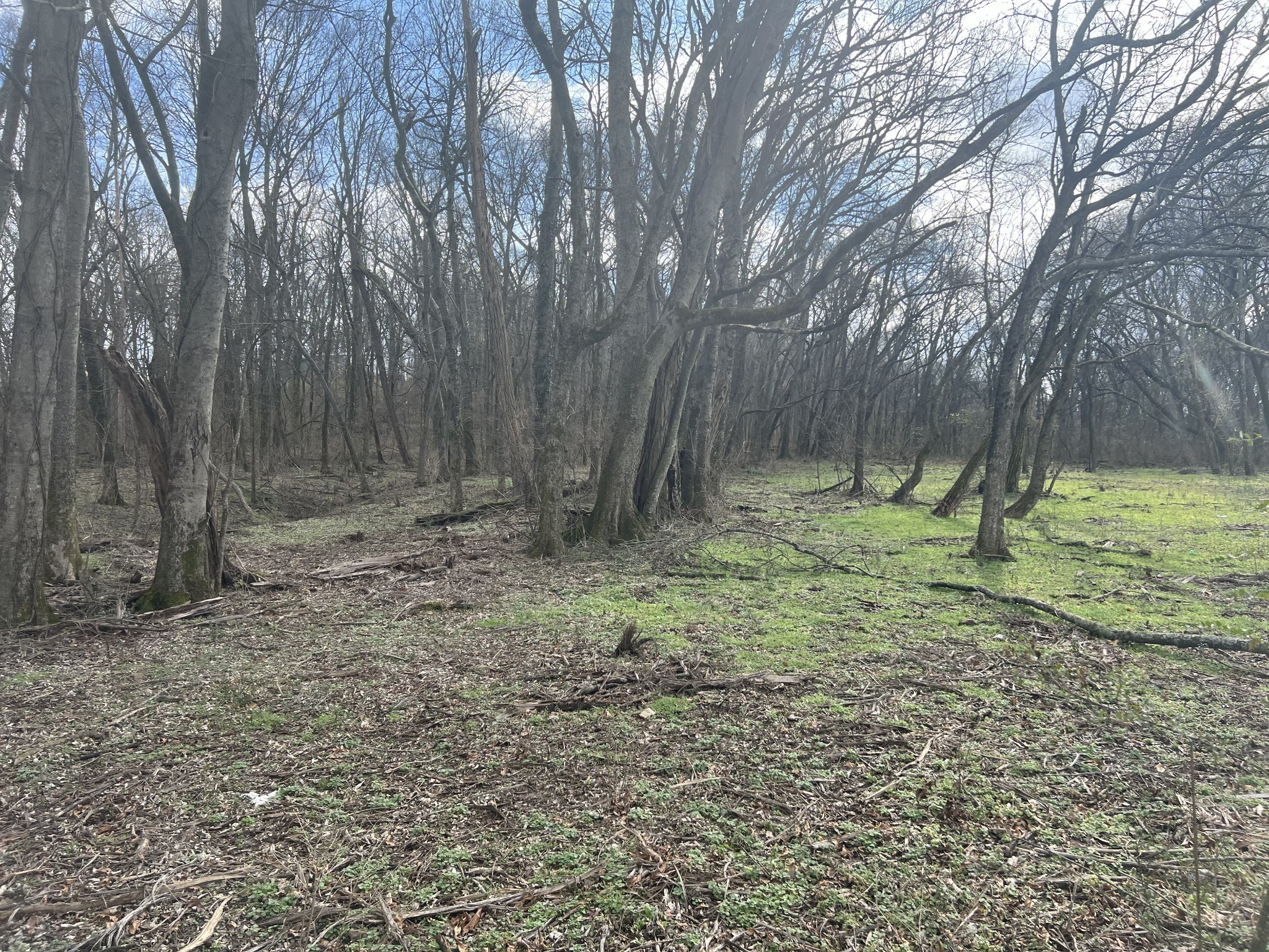 917 1st Ave 7 Lots, Mount Pleasant, TN 38474