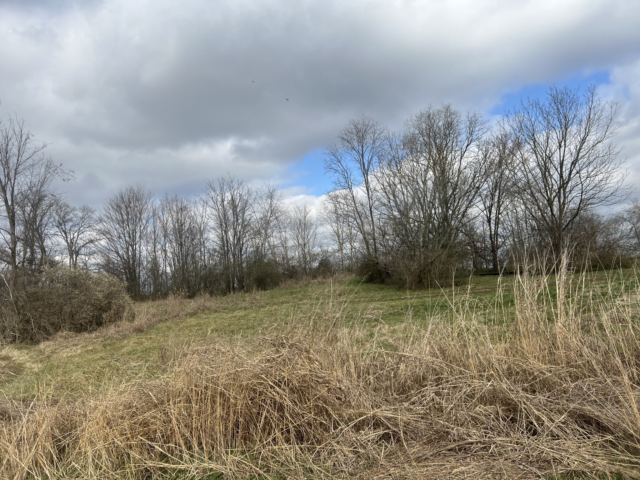 917 1st Ave 7 Lots, Mount Pleasant, TN 38474