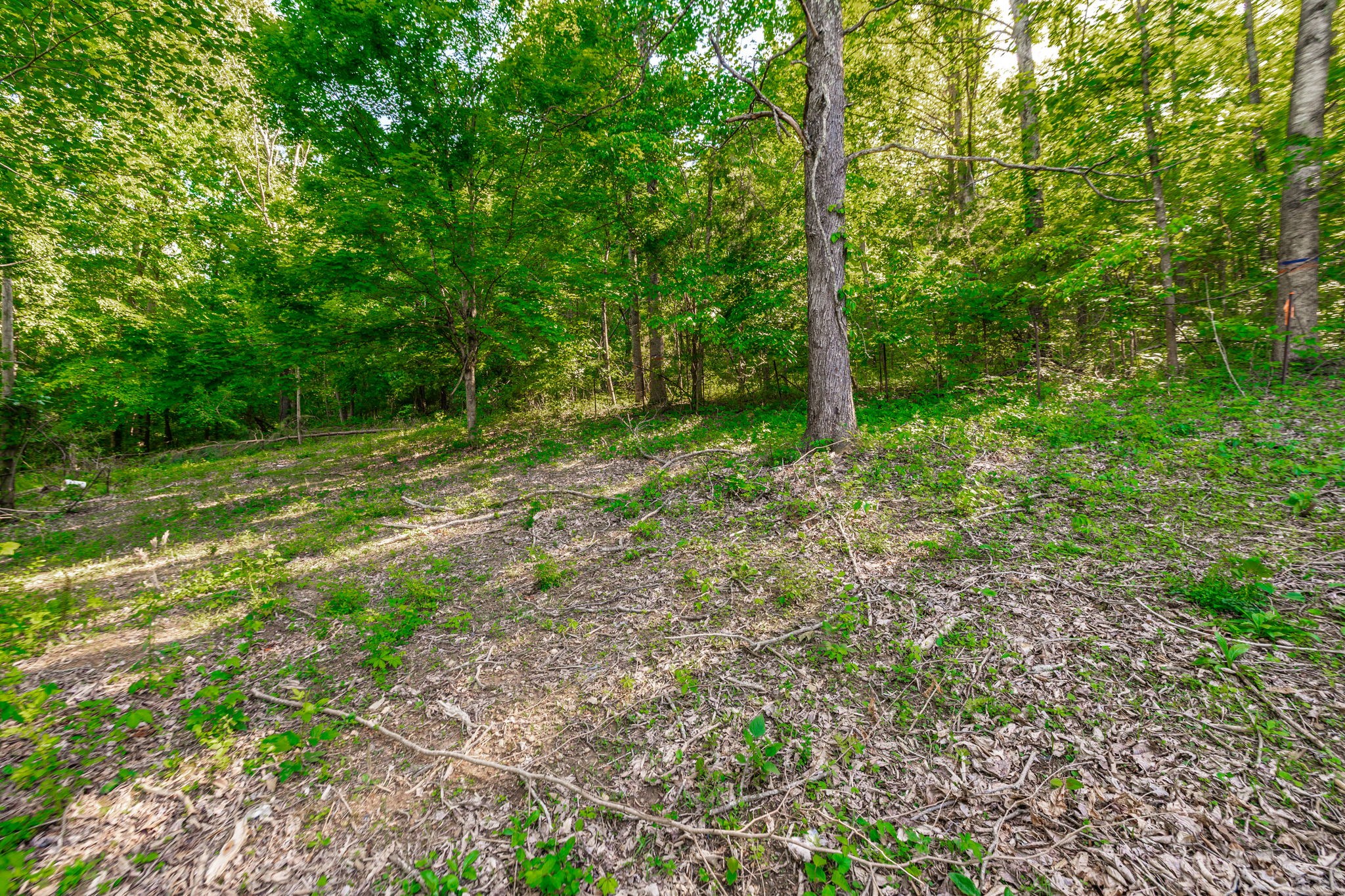 1170 James Brown Rd, Westmoreland, TN 37186