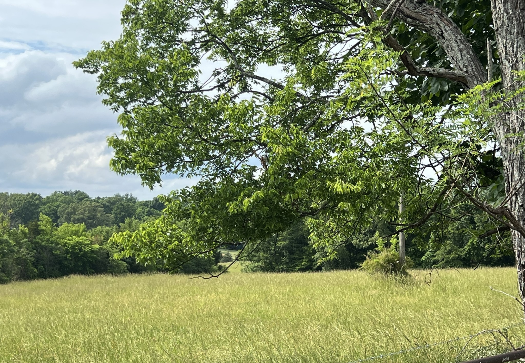 0 W George Durham Rd Lot 1, Westmoreland, TN 37186
