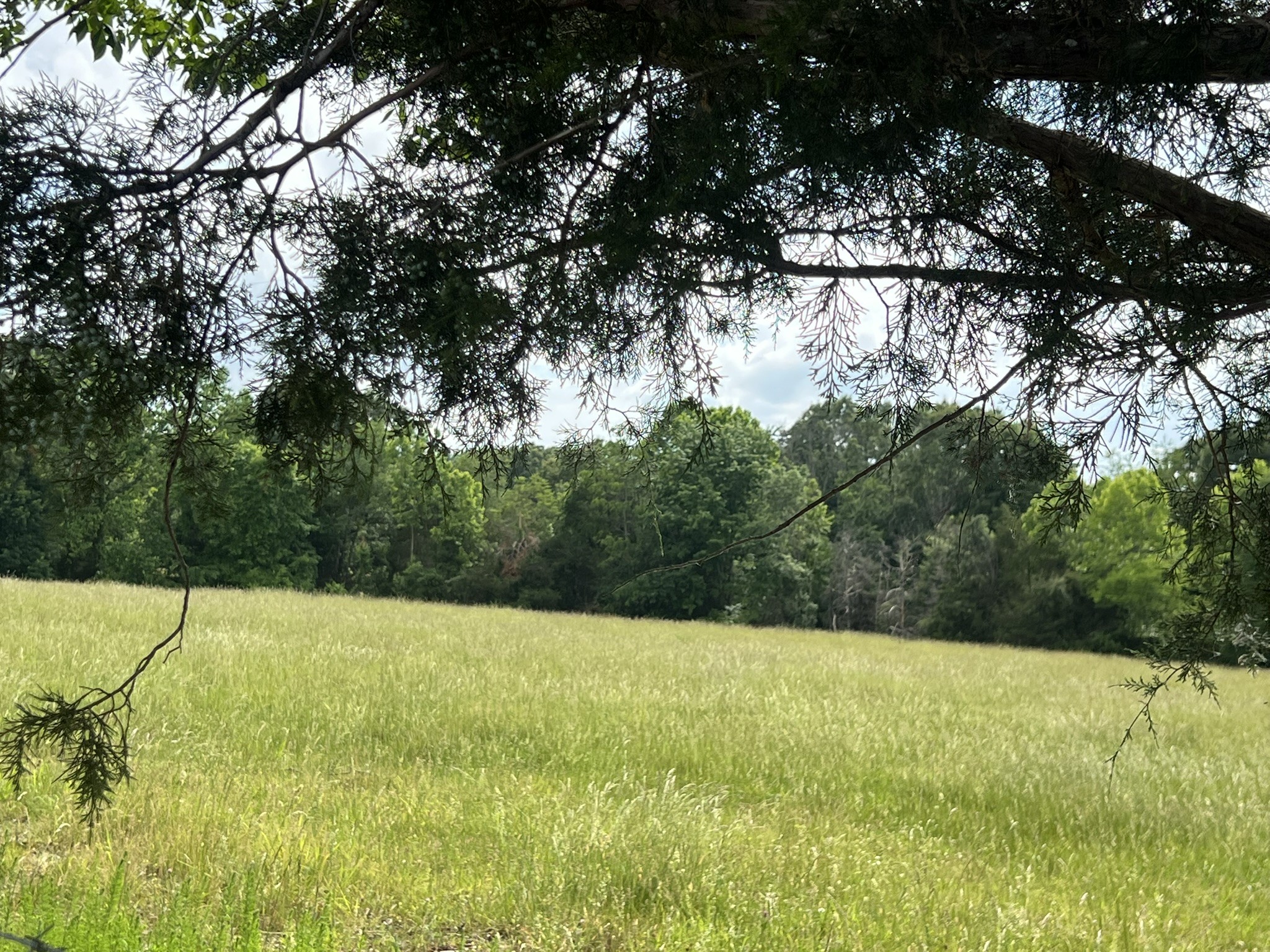 0 W George Durham Rd Lot 2, Westmoreland, TN 37186