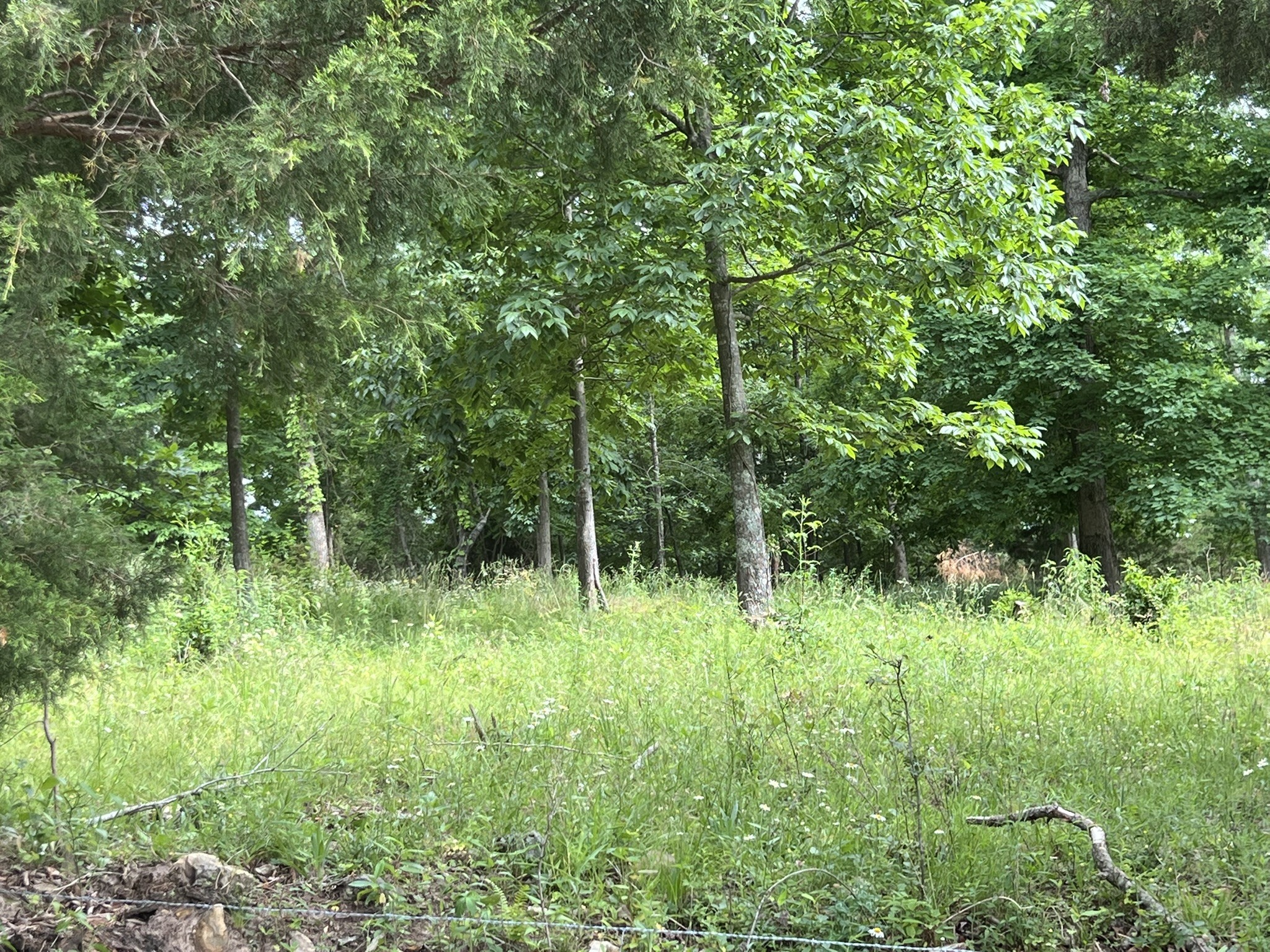 0 W George Durham Rd Lot 2, Westmoreland, TN 37186