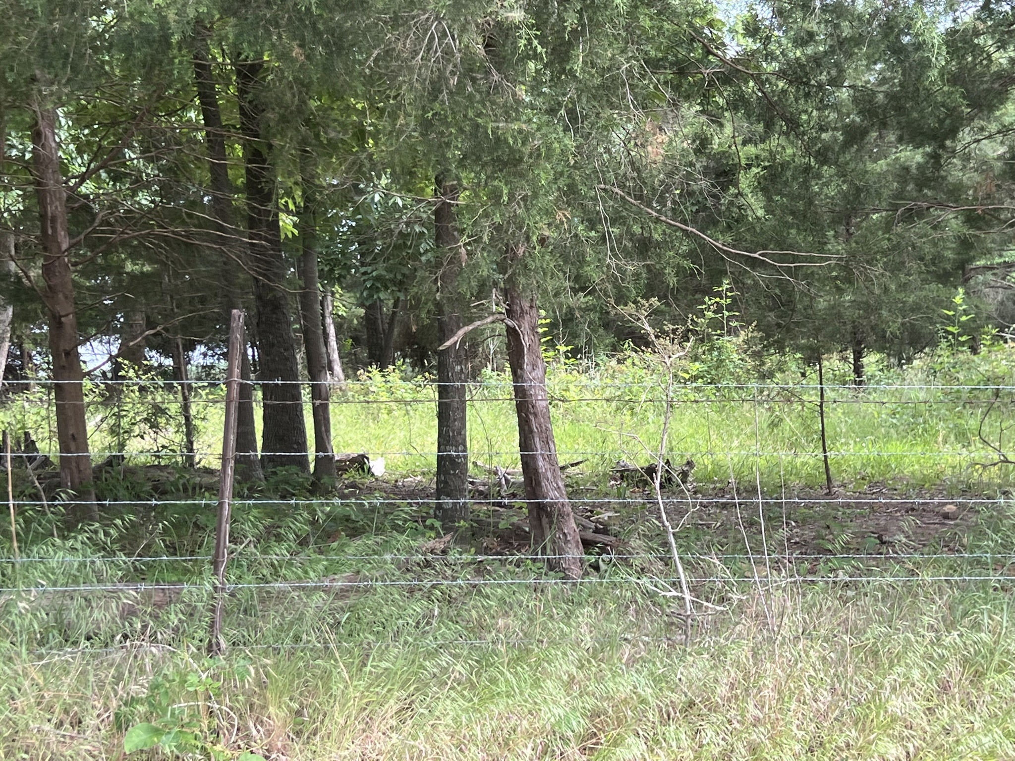 0 W George Durham Rd Lot 2, Westmoreland, TN 37186
