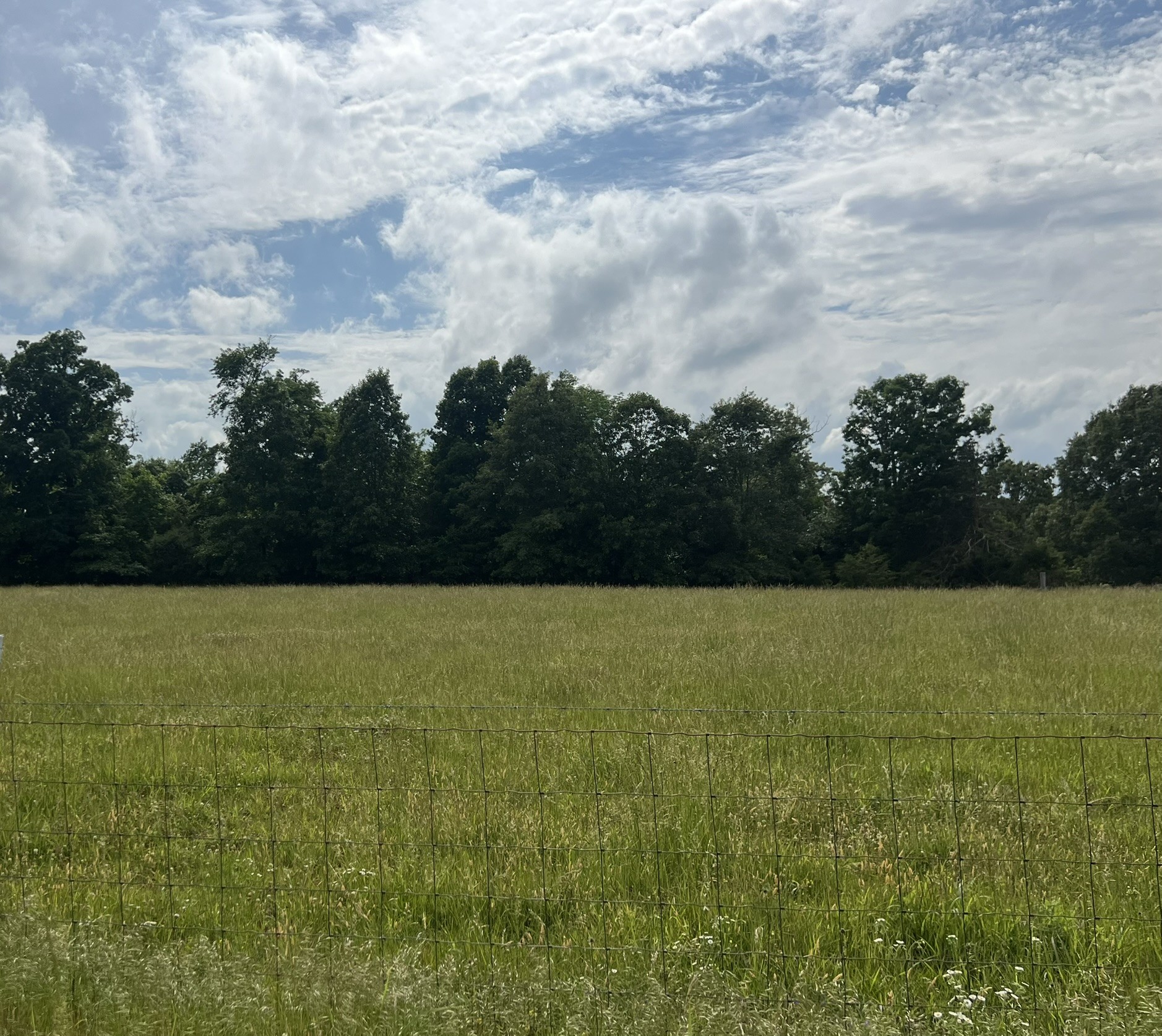 0 Bosham Rd Lot 3, Westmoreland, TN 37186