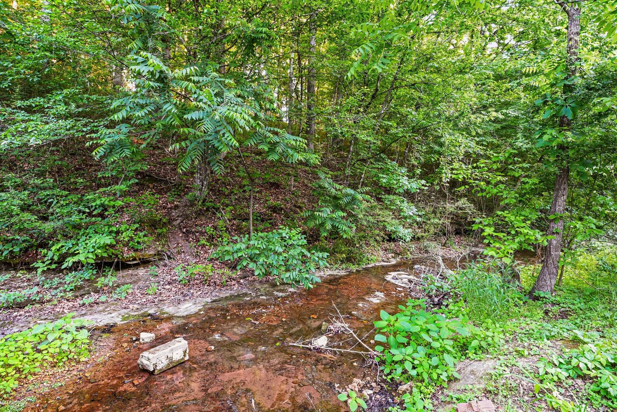 216 Brookhollow Dr, Ashland City, TN 37015