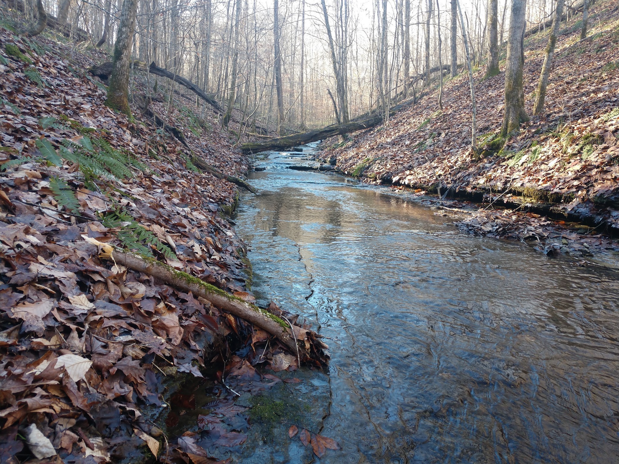 0 Gibbs Rd Lot 1, Ashland City, TN 37015