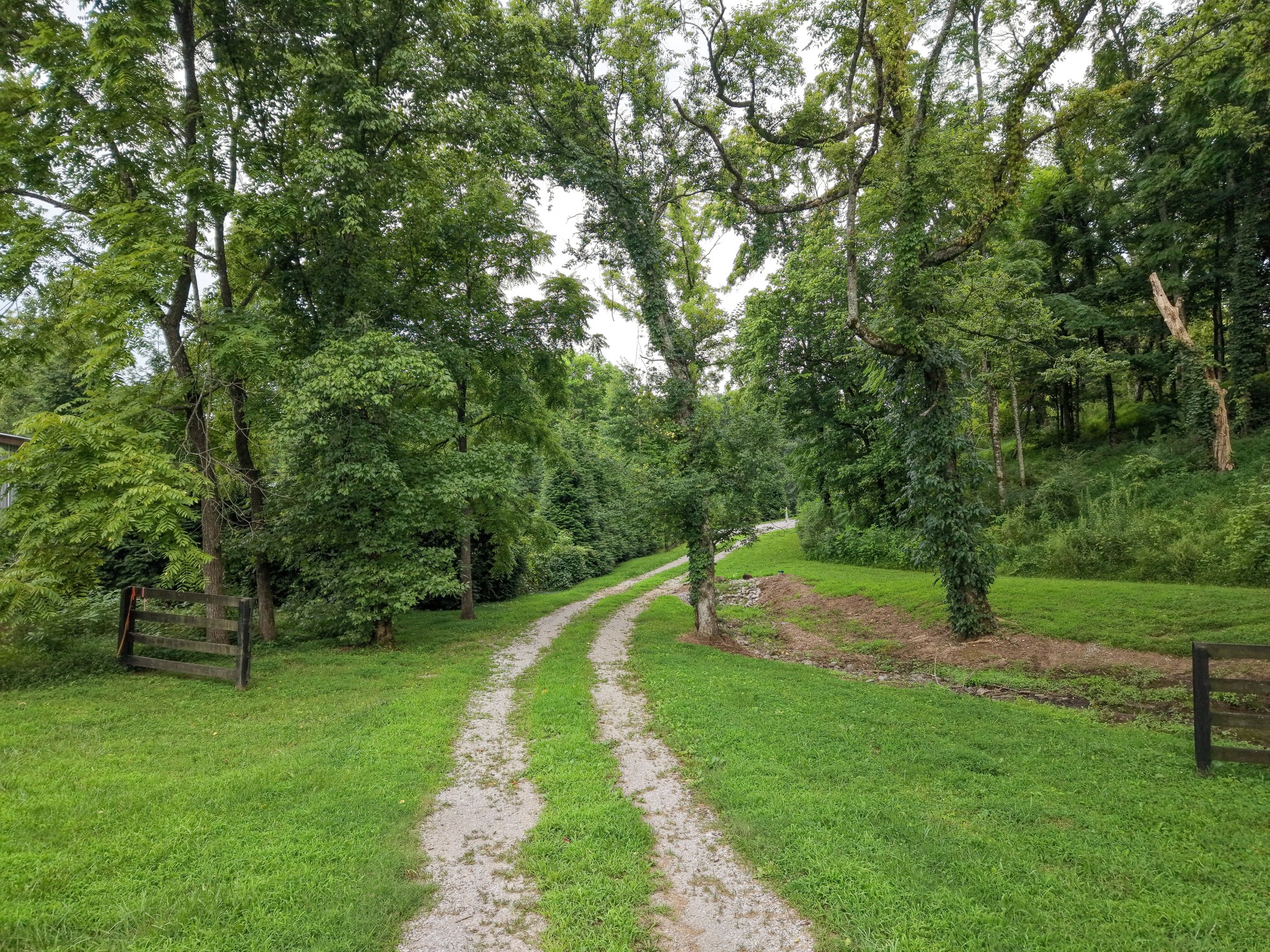 6448 Nathan Smith Rd, College Grove, TN 37046