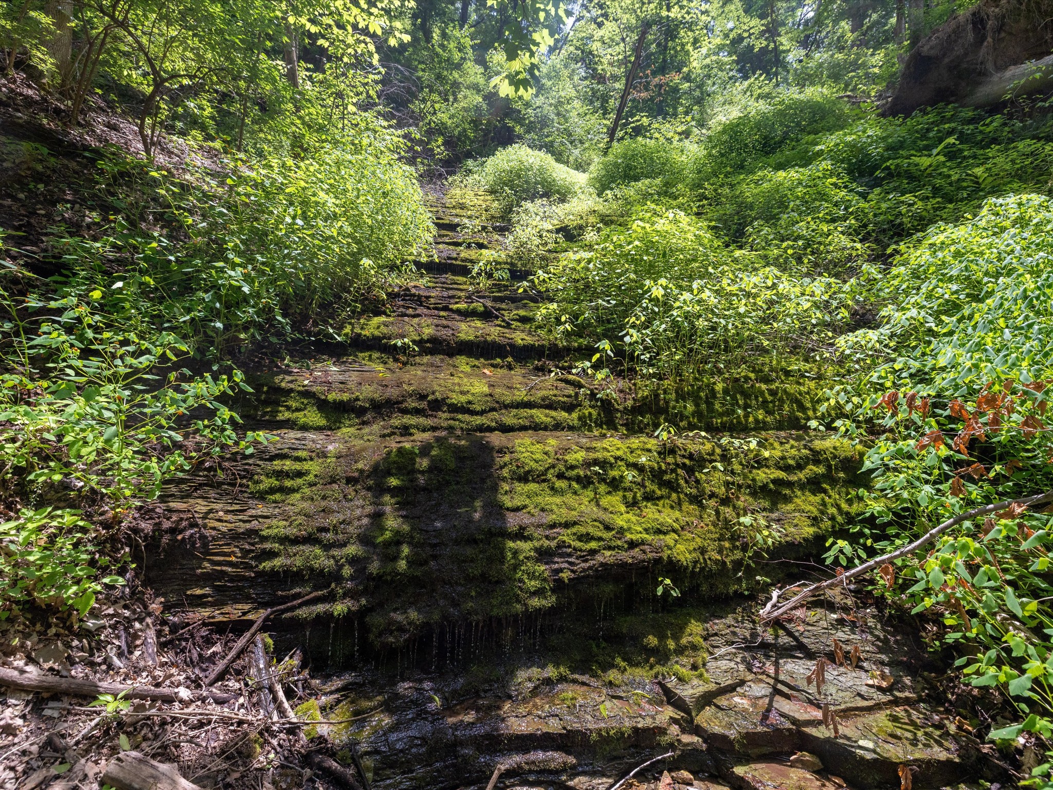 6624 Jocelyn Hollow Rd, Nashville, TN 37205
