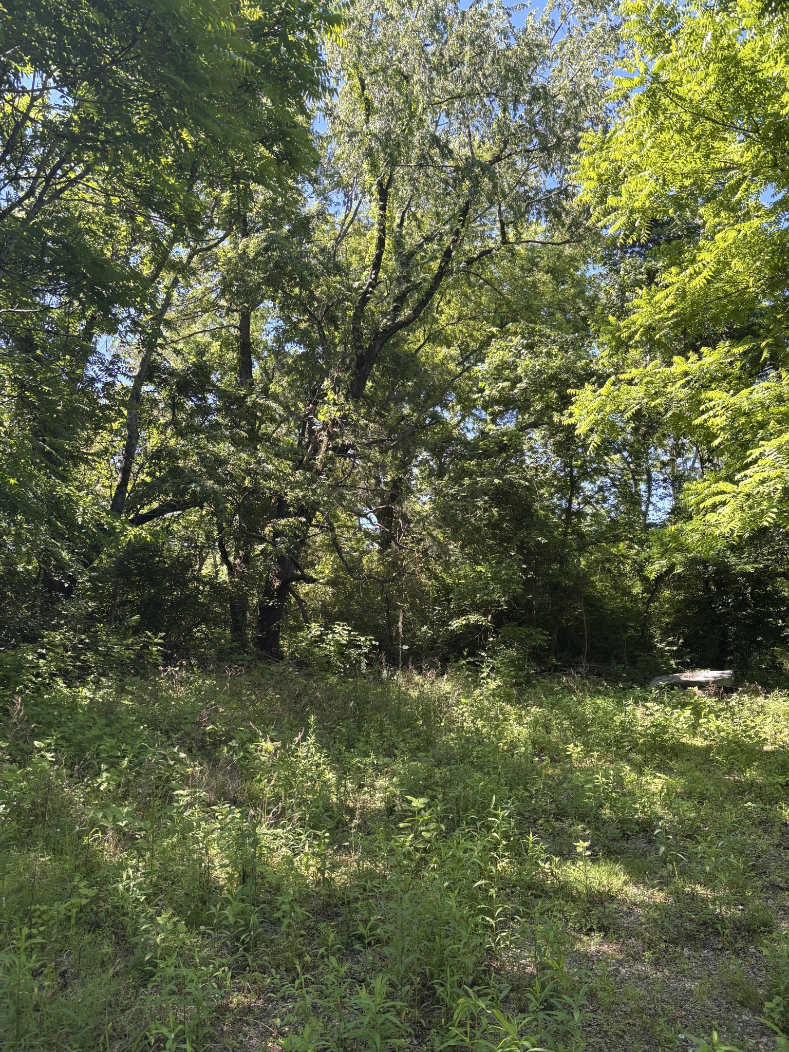 4112 Columbia Pike, Franklin, TN 37064