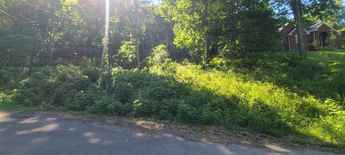 4180 Creek Trail Dr, Whites Creek, TN 37189