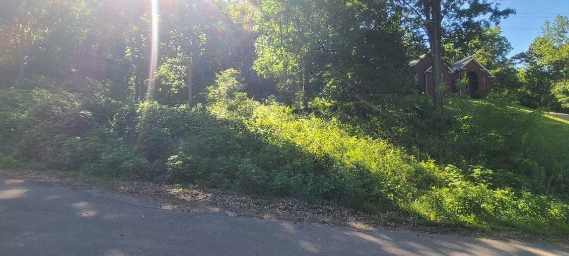 4180 Creek Trail Dr, Whites Creek, TN 37189