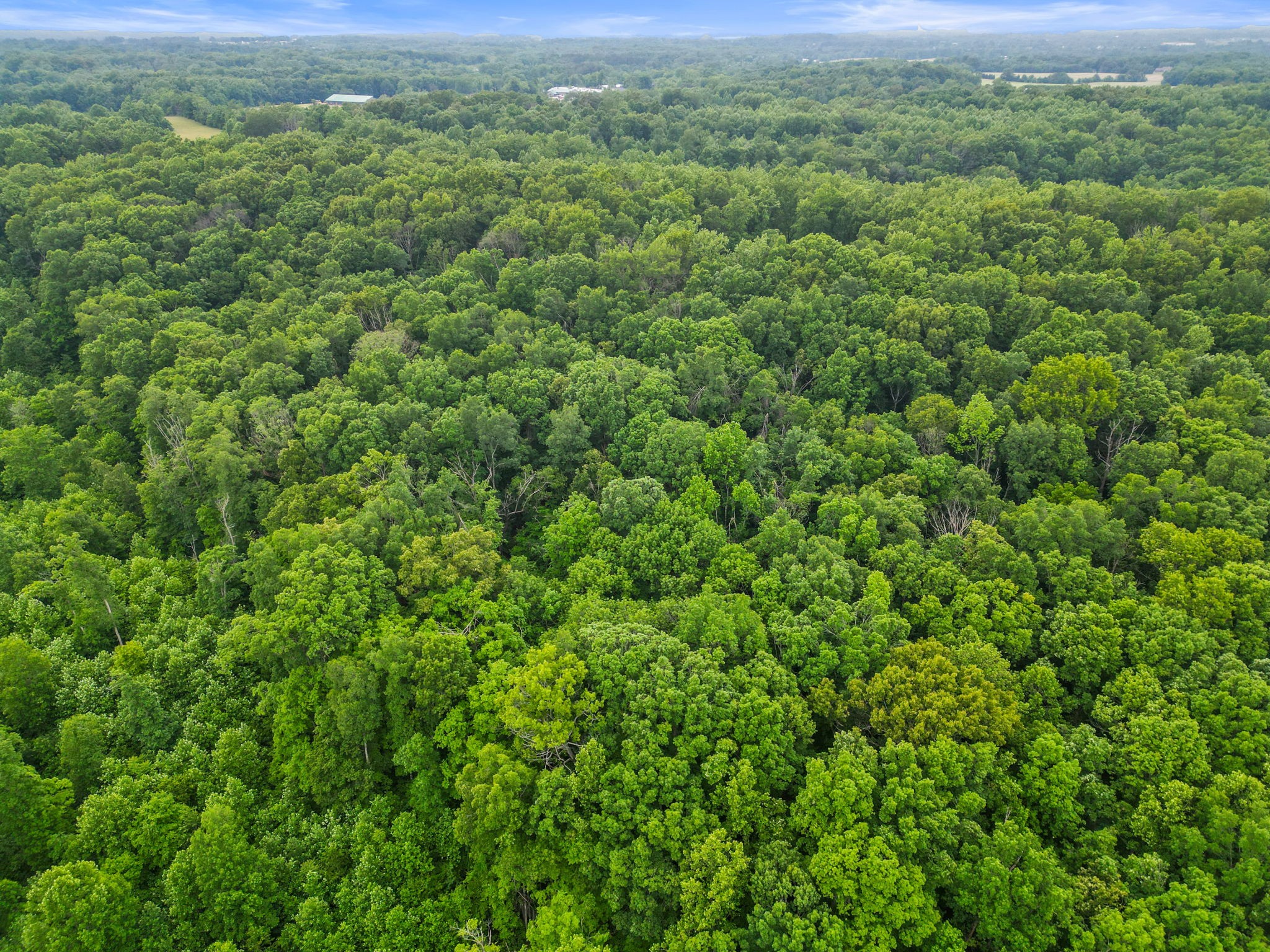 150A Dogwood Springs Dr, Portland, TN 37148