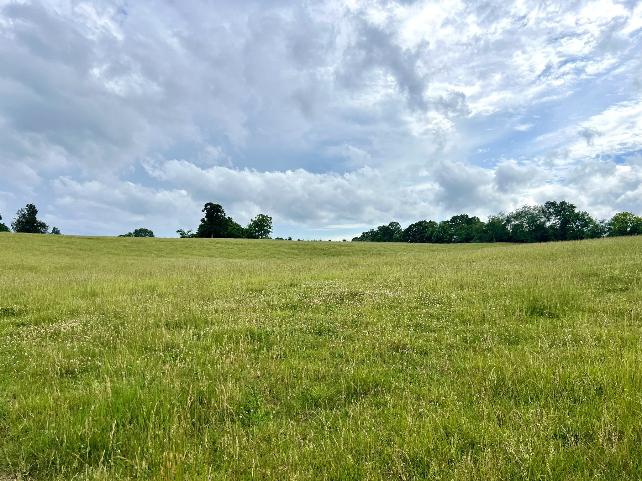 0 Bosham Rd Lot 5, Westmoreland, TN 37186