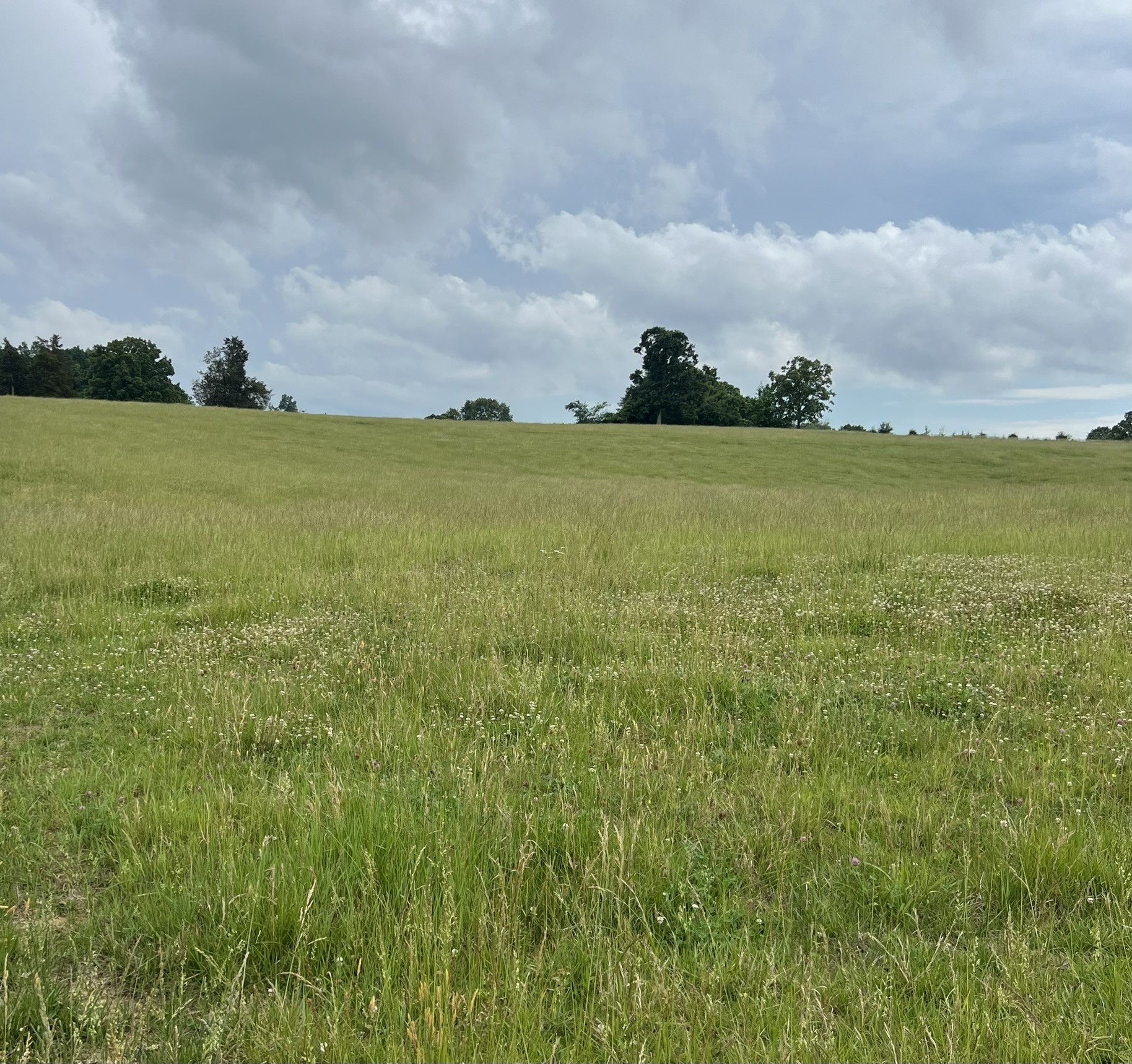 0 Bosham Rd Lot 5, Westmoreland, TN 37186
