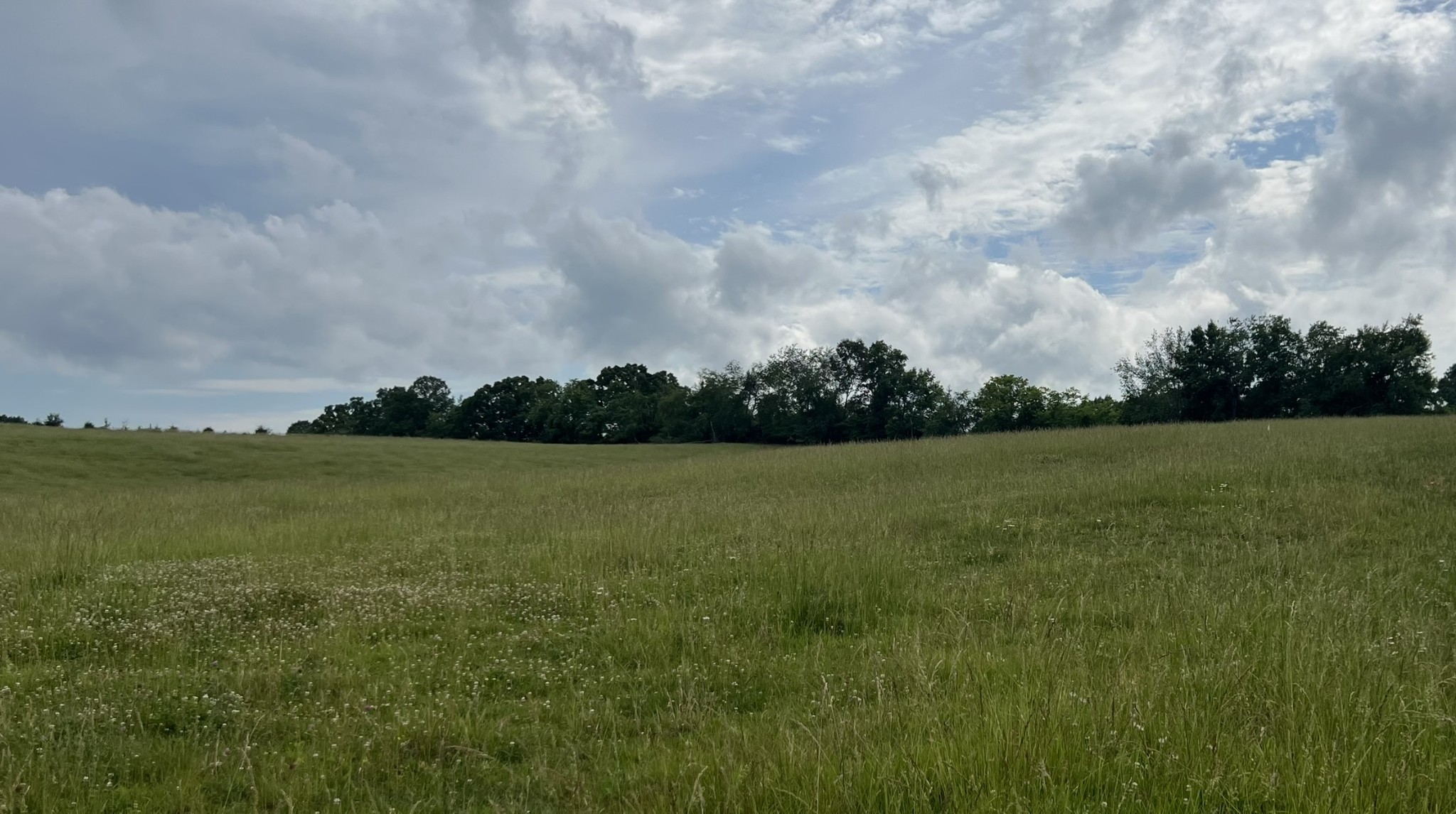 0 Bosham Rd Lot 6, Westmoreland, TN 37186