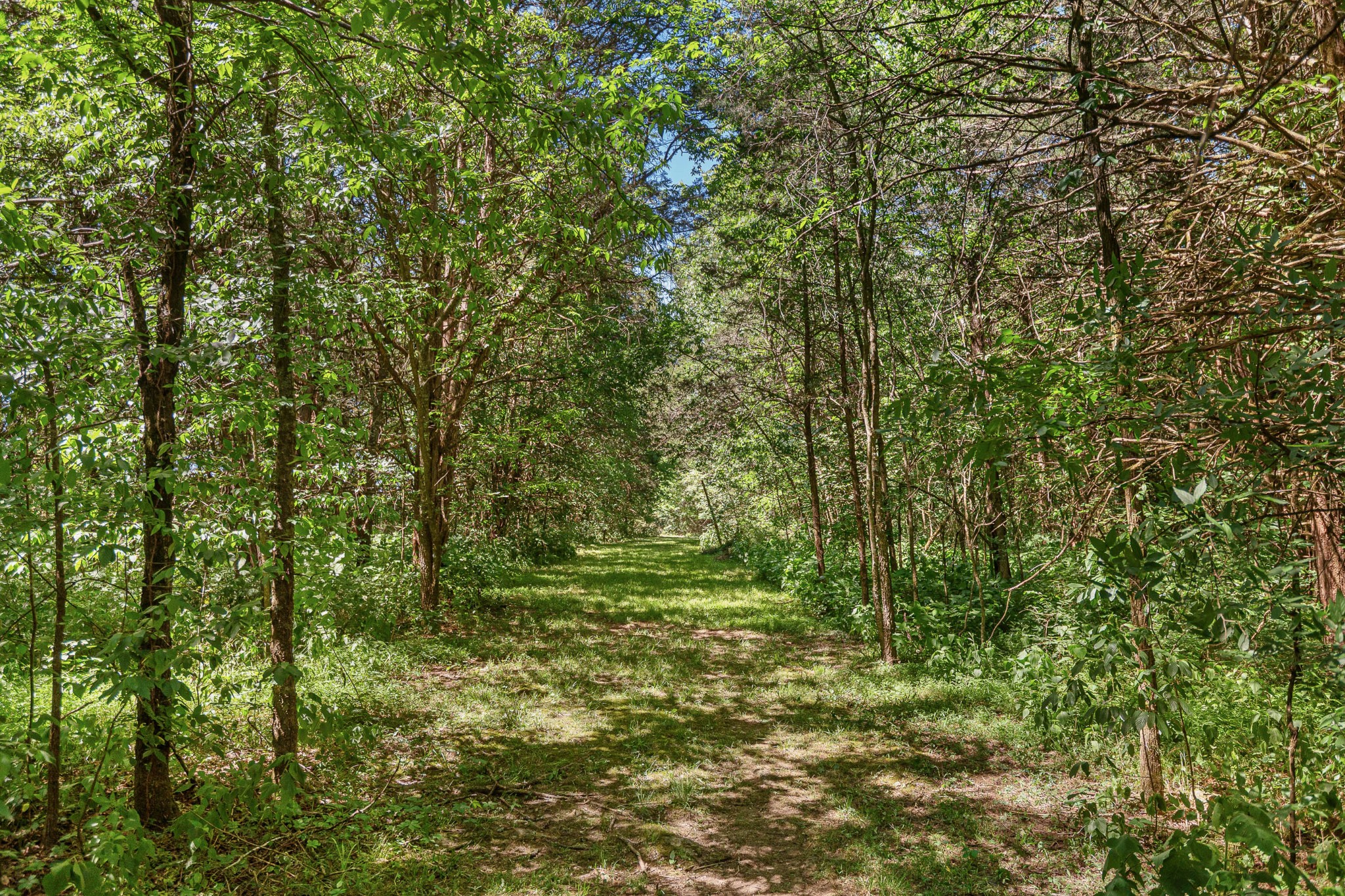 642 Beach Bottom Rd, Watertown, TN 37184