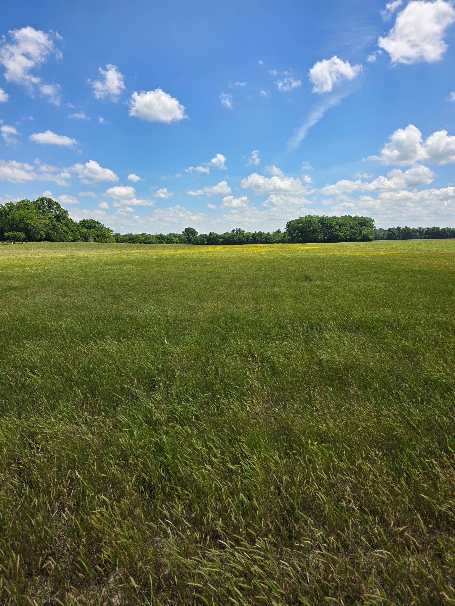 0 Shoemaker Rd Lot 4, Eagleville, TN 37060