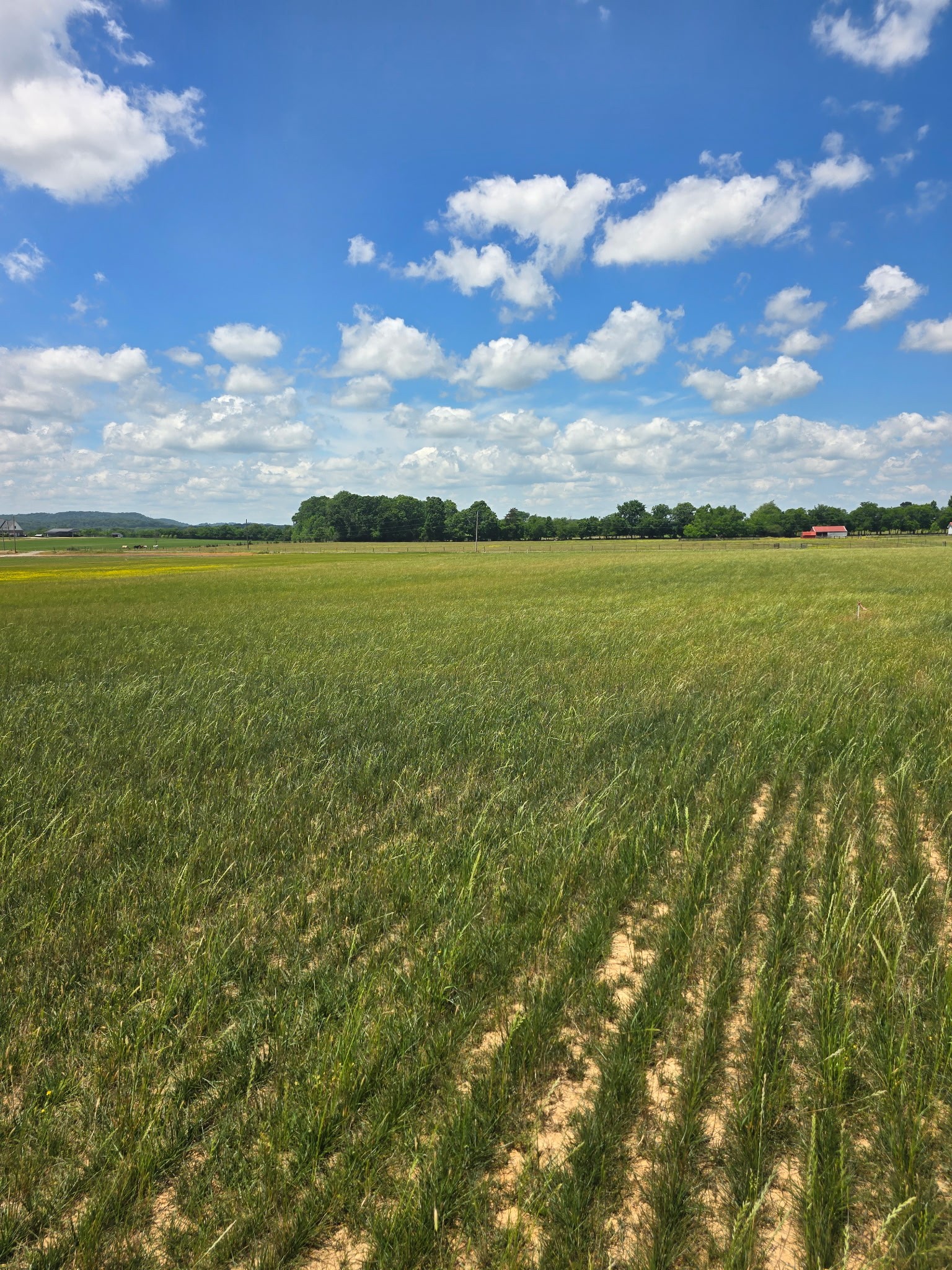 0 Shoemaker Rd Lot 4, Eagleville, TN 37060