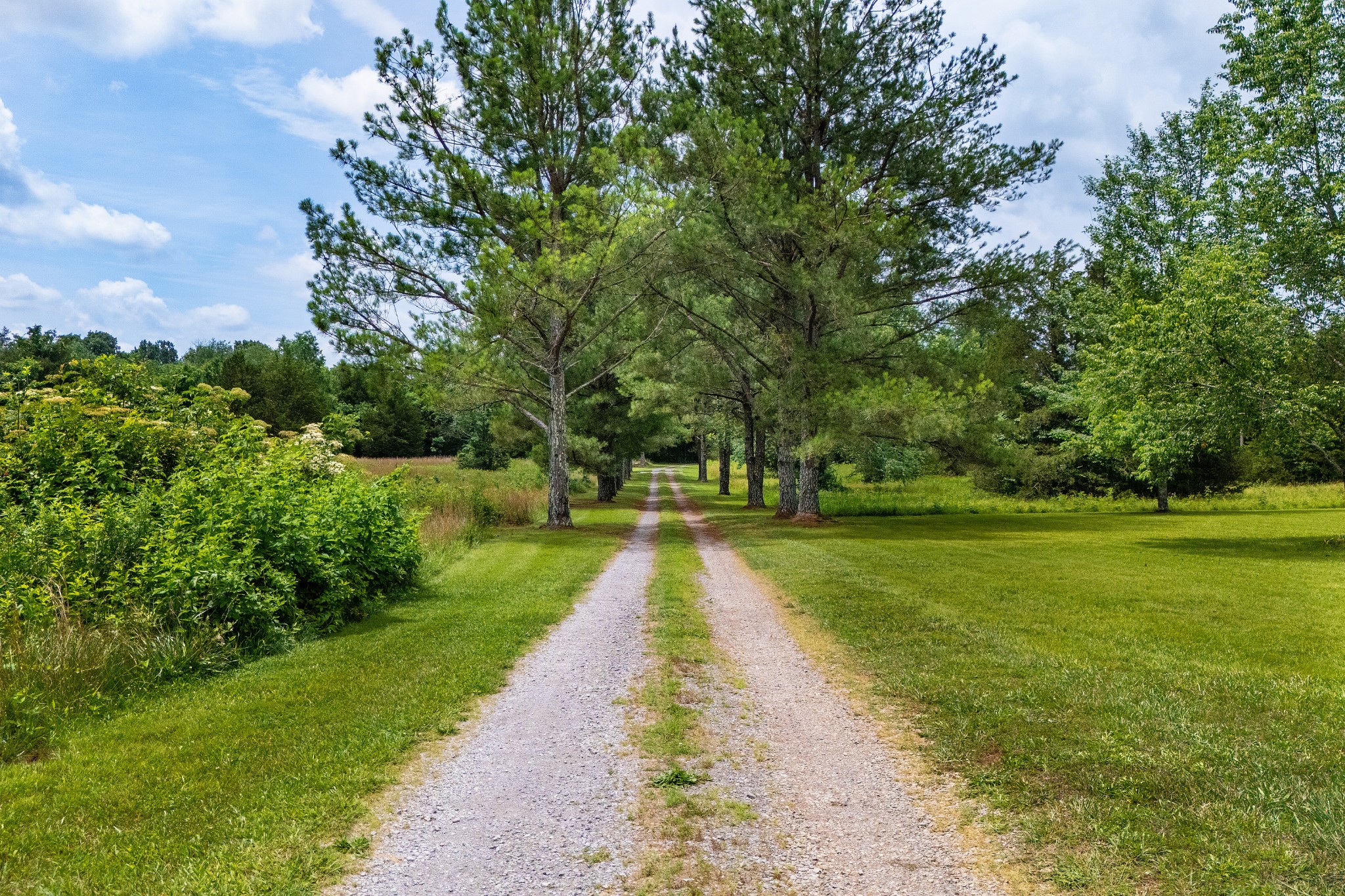 859 Flat Woods Rd, Lebanon, TN 37090