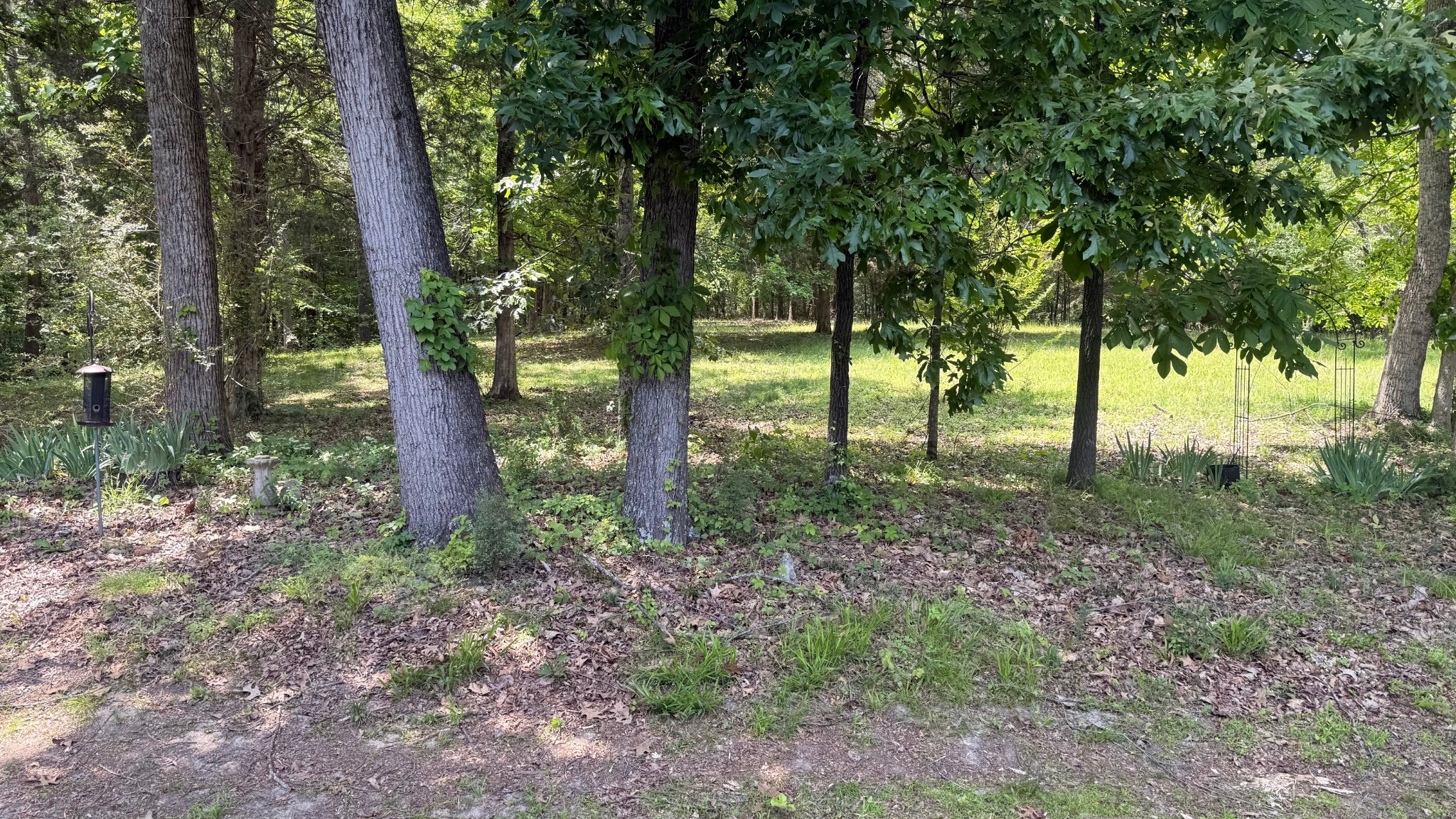 5260 New Cut Rd, Greenbrier, TN 37073
