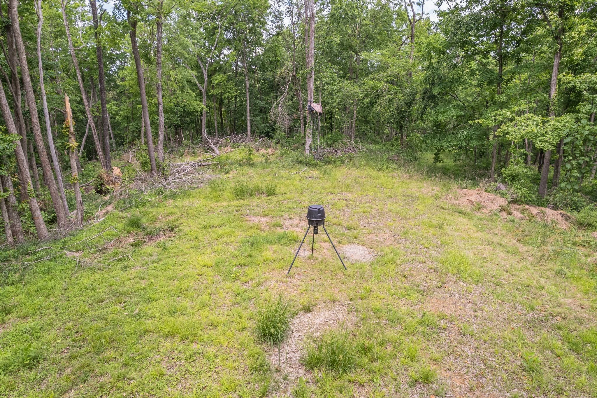 0 Haze Hyde Hollow Rd, Bethpage, TN 37022