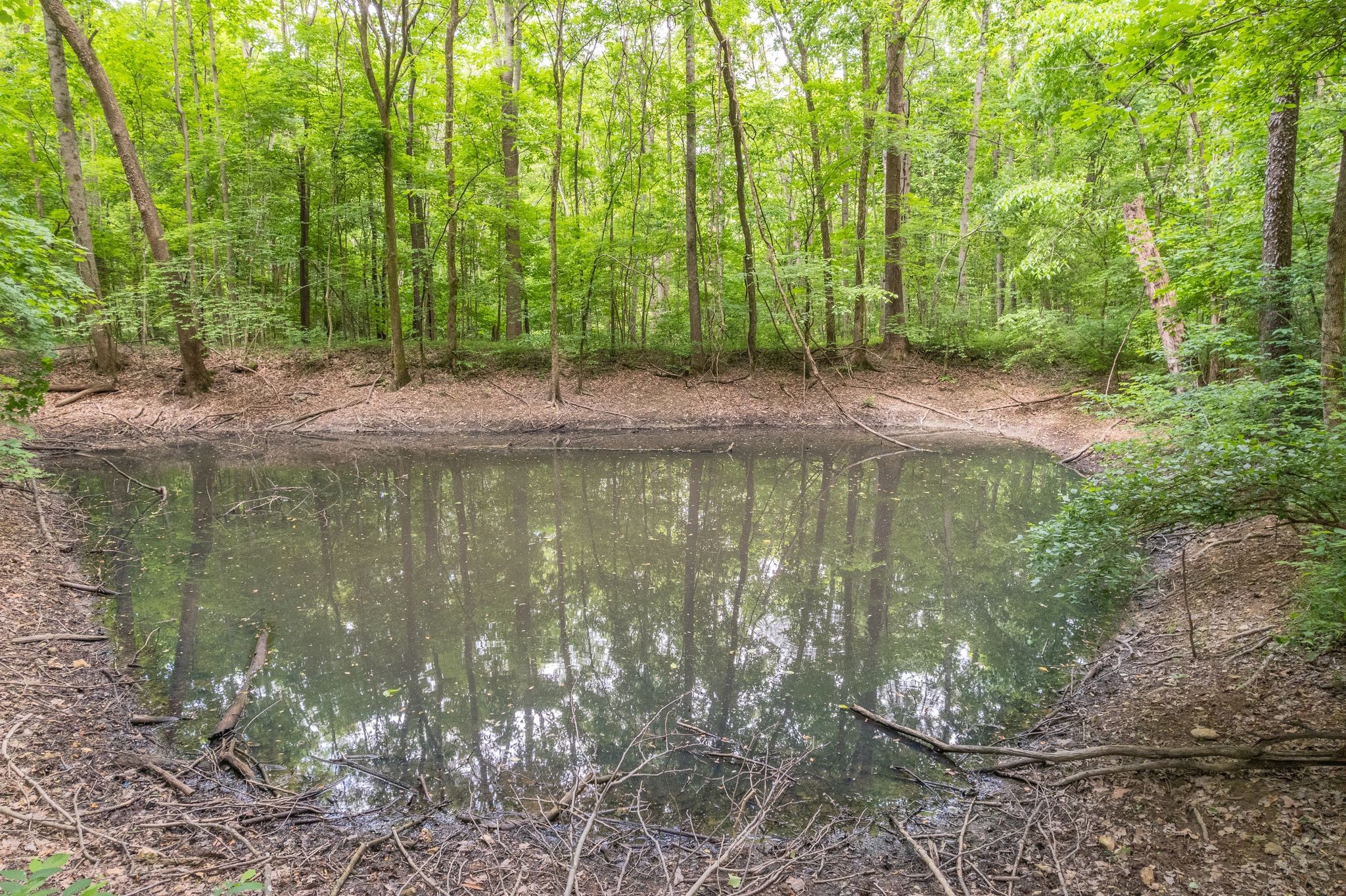 0 Haze Hyde Hollow Rd, Bethpage, TN 37022