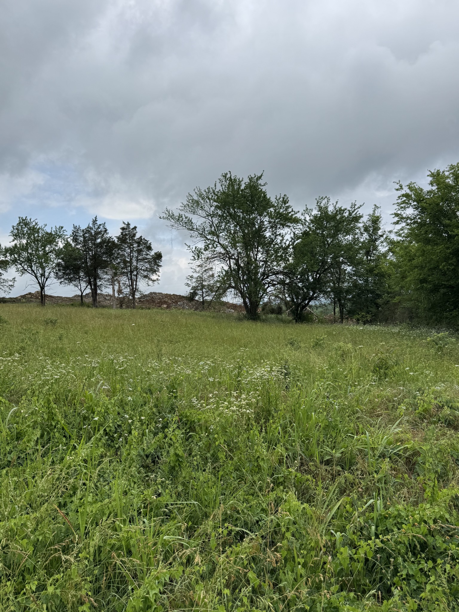 1555 E Stewarts Ln Lot 11, Nashville, TN 37218