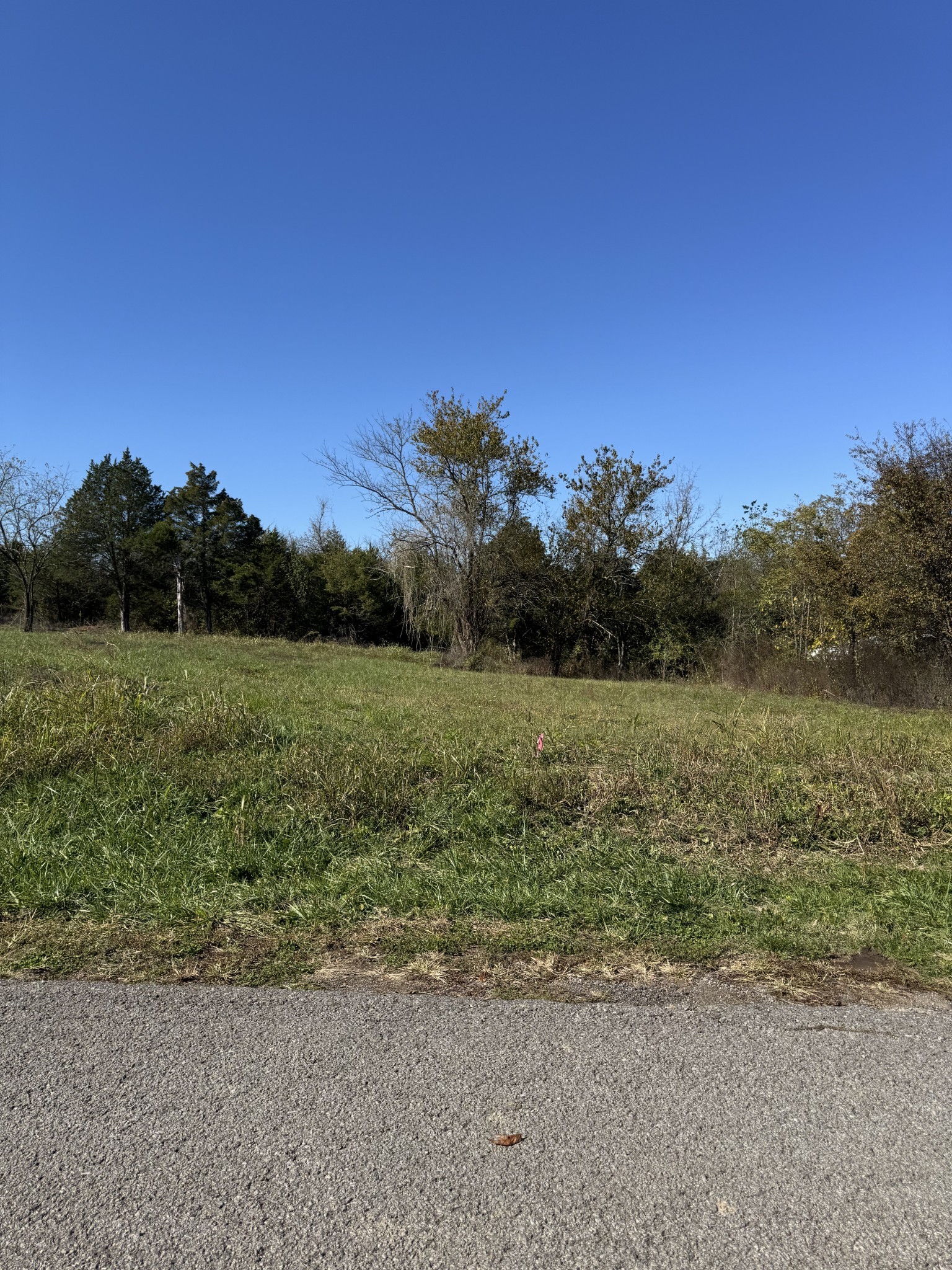 1555 E Stewarts Ln Lot 11, Nashville, TN 37218