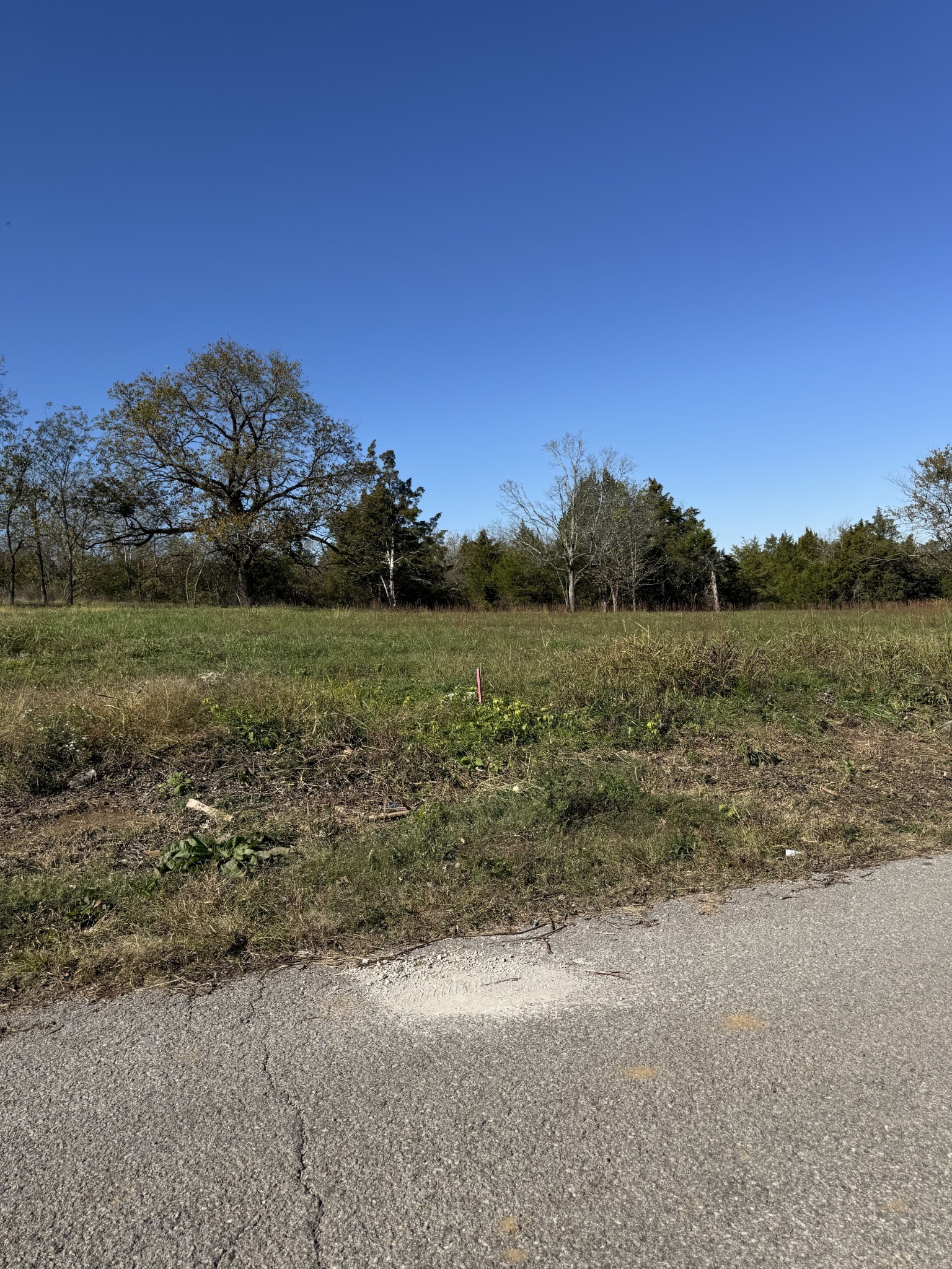 1543 E Stewarts Ln Lot 8, Nashville, TN 37218