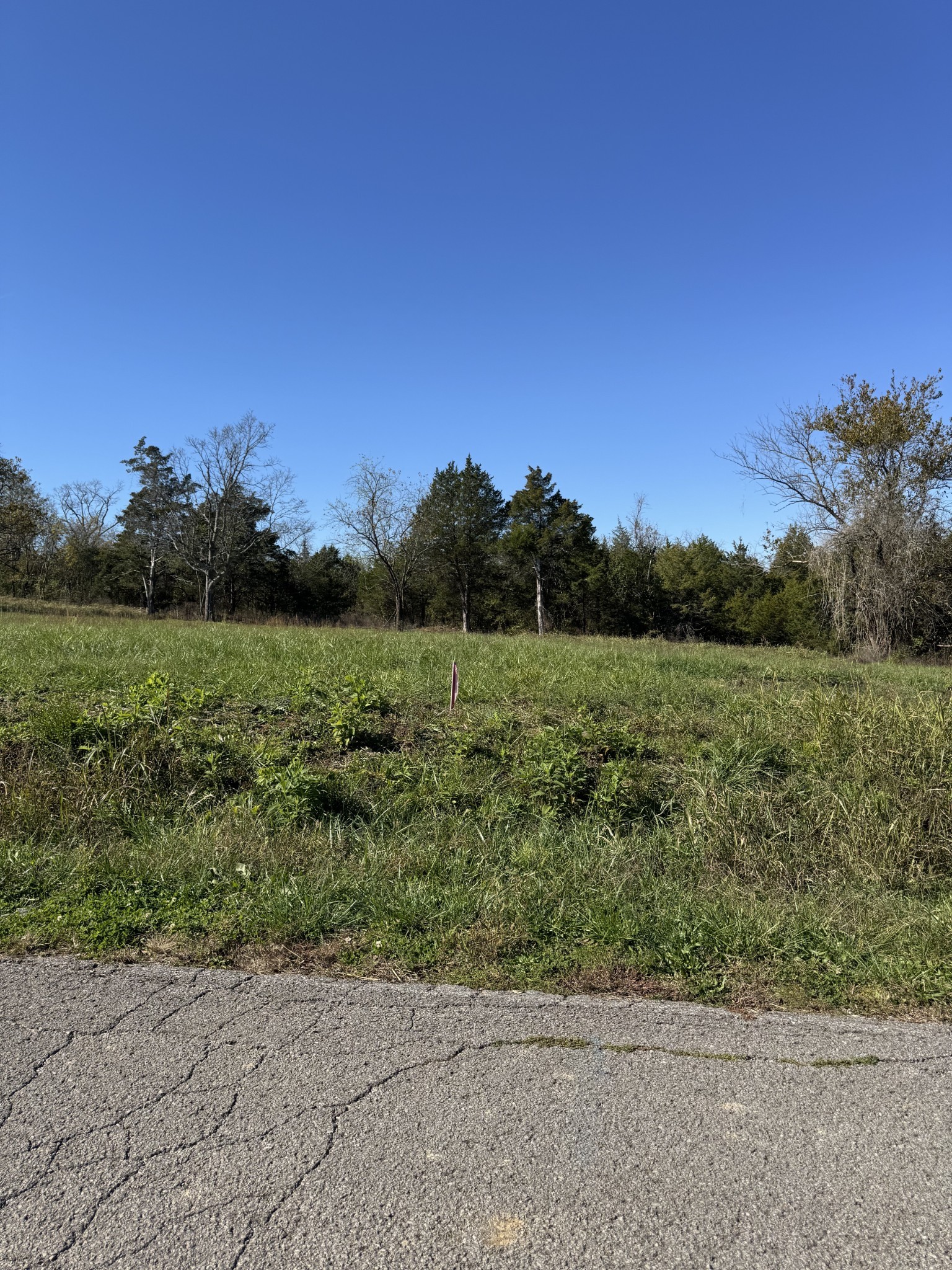 1551 E Stewarts Ln Lot 10, Nashville, TN 37218