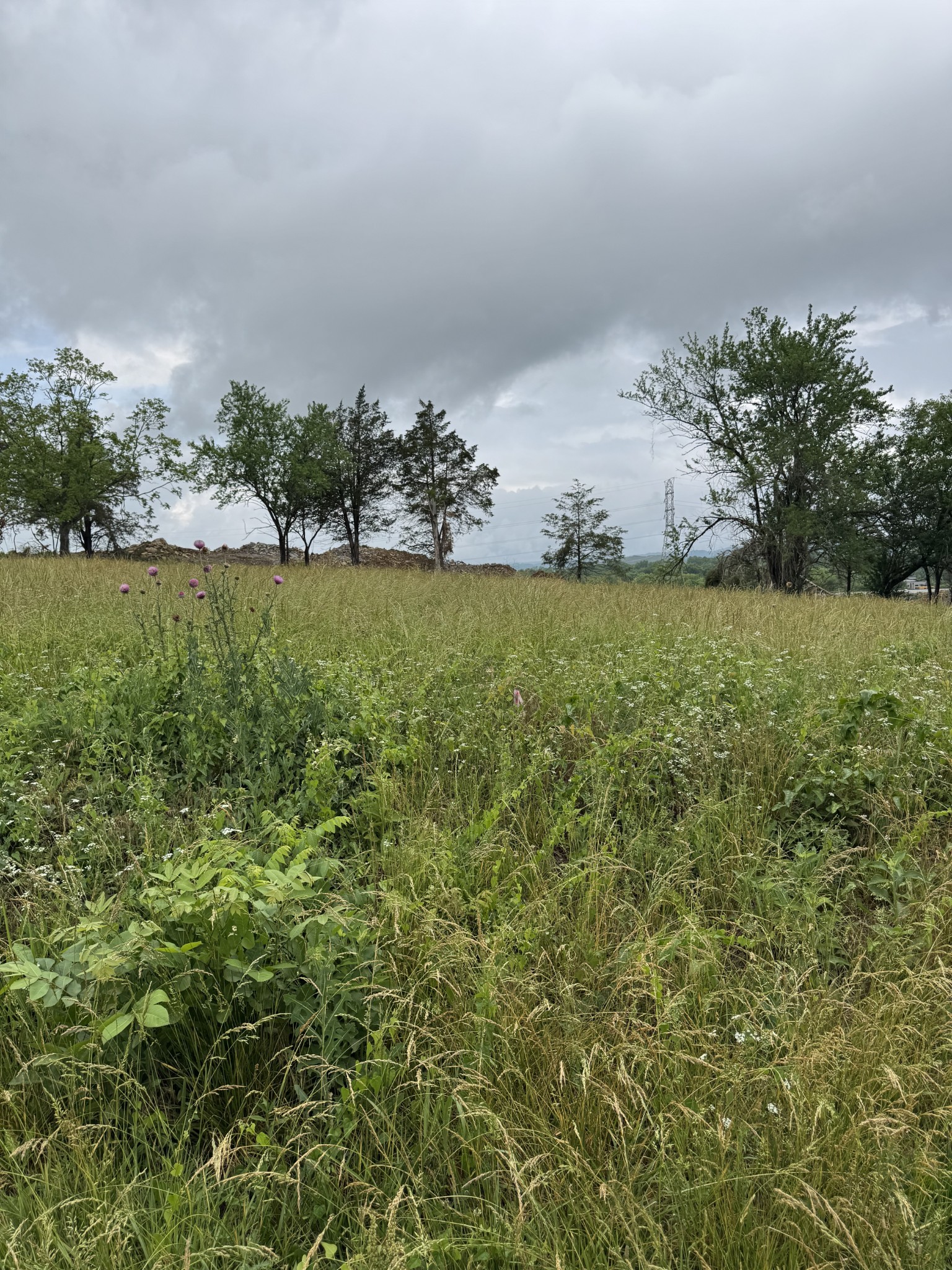 1551 E Stewarts Ln Lot 10, Nashville, TN 37218