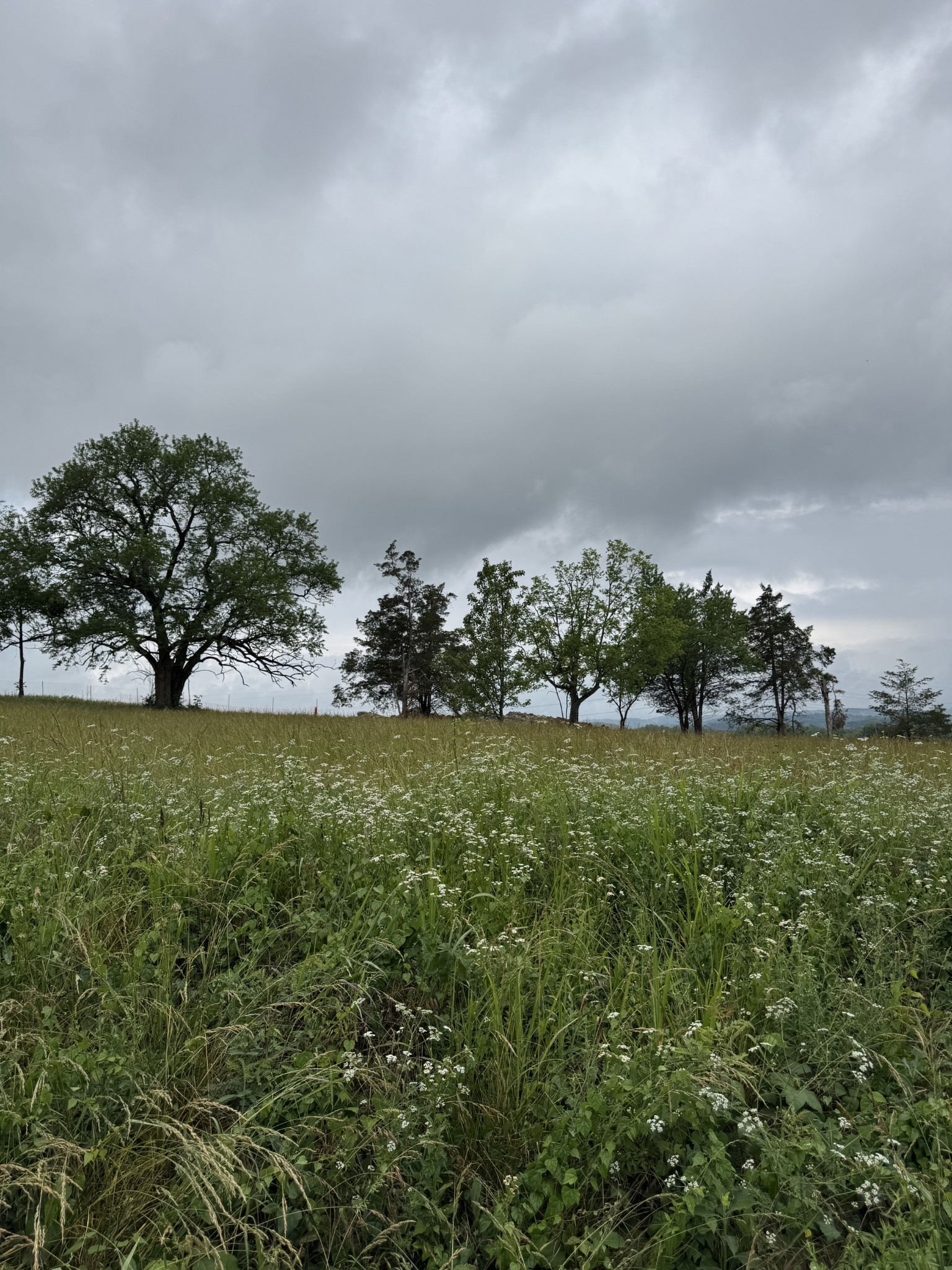 1551 E Stewarts Ln Lot 10, Nashville, TN 37218