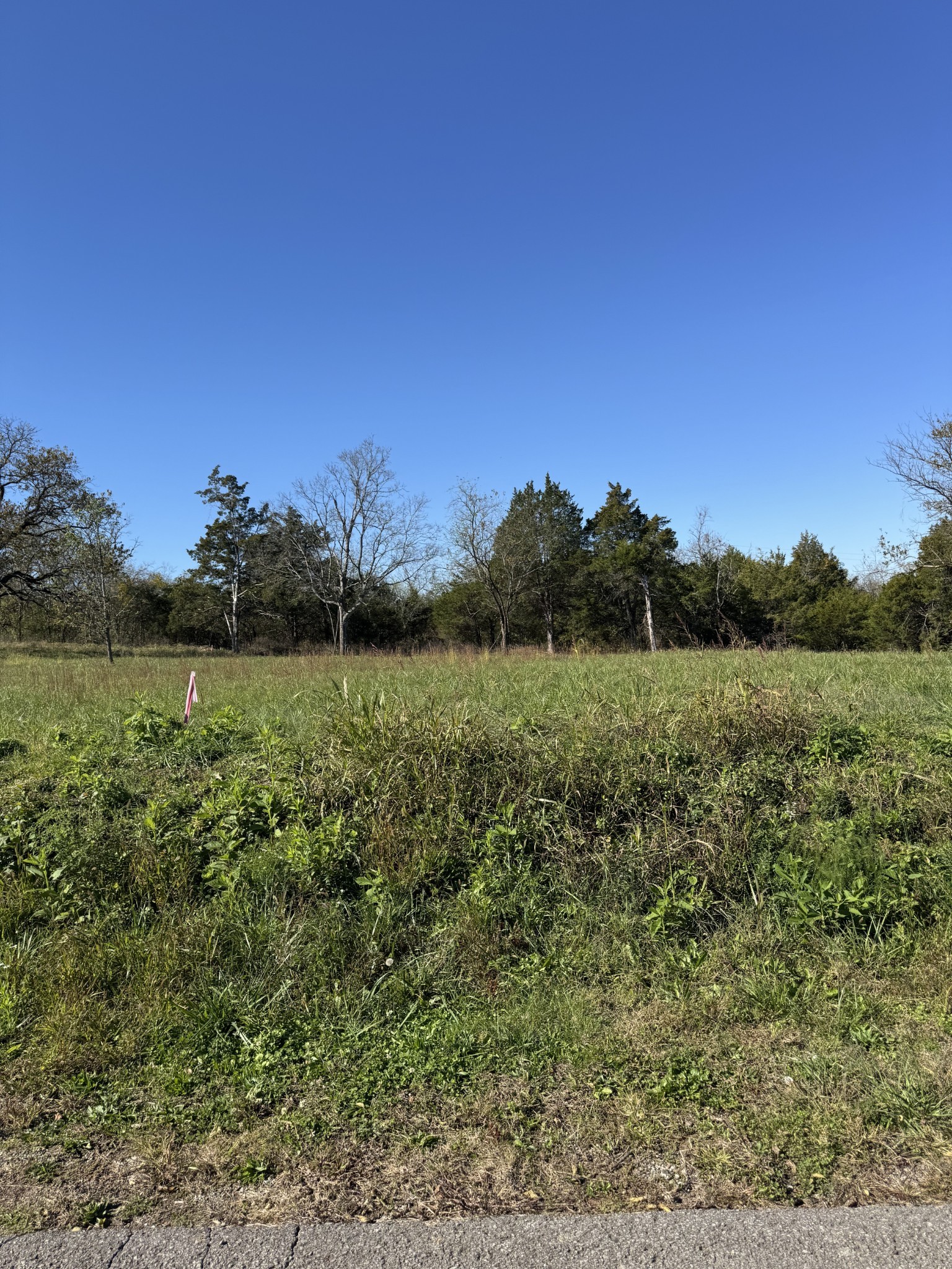 1547 E Stewarts Ln Lot 9, Nashville, TN 37218
