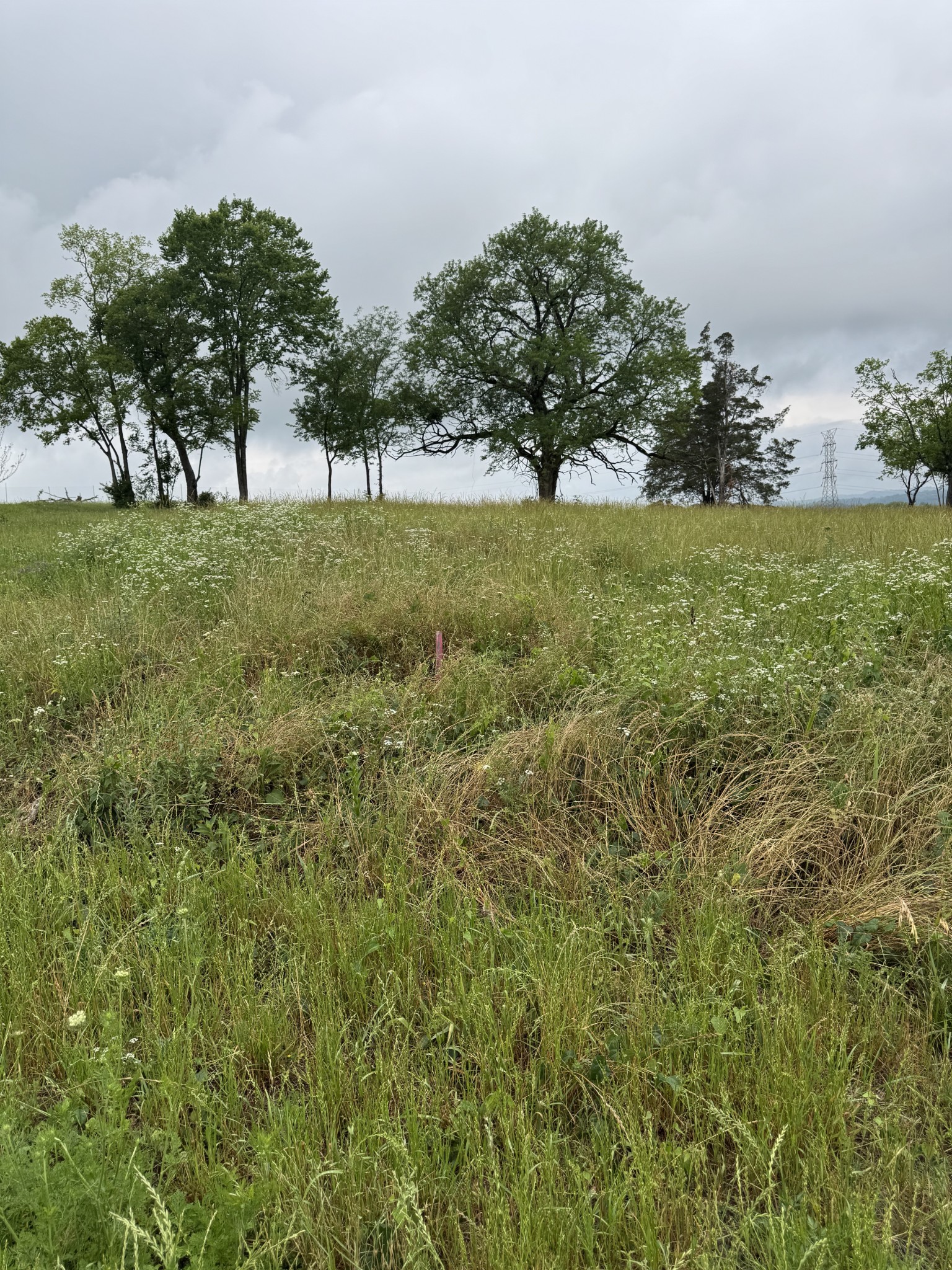 1535 E Stewarts Ln Lot 6, Nashville, TN 37218