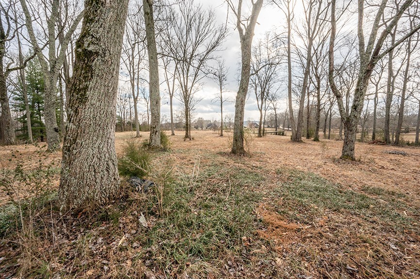 255 Cherokee Dock Rd, Lebanon, TN 37087